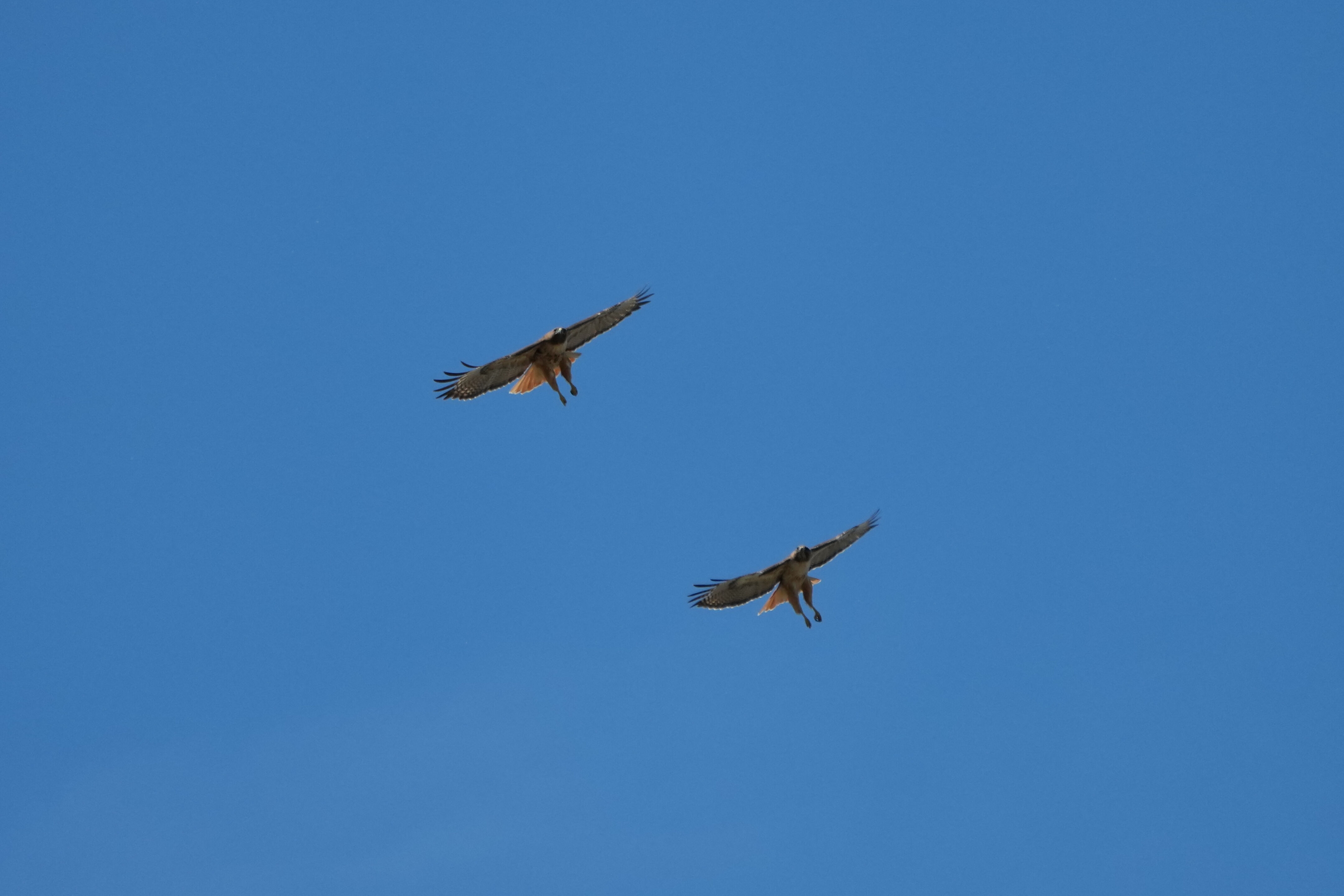 Contra Costa Canal Regional Trail