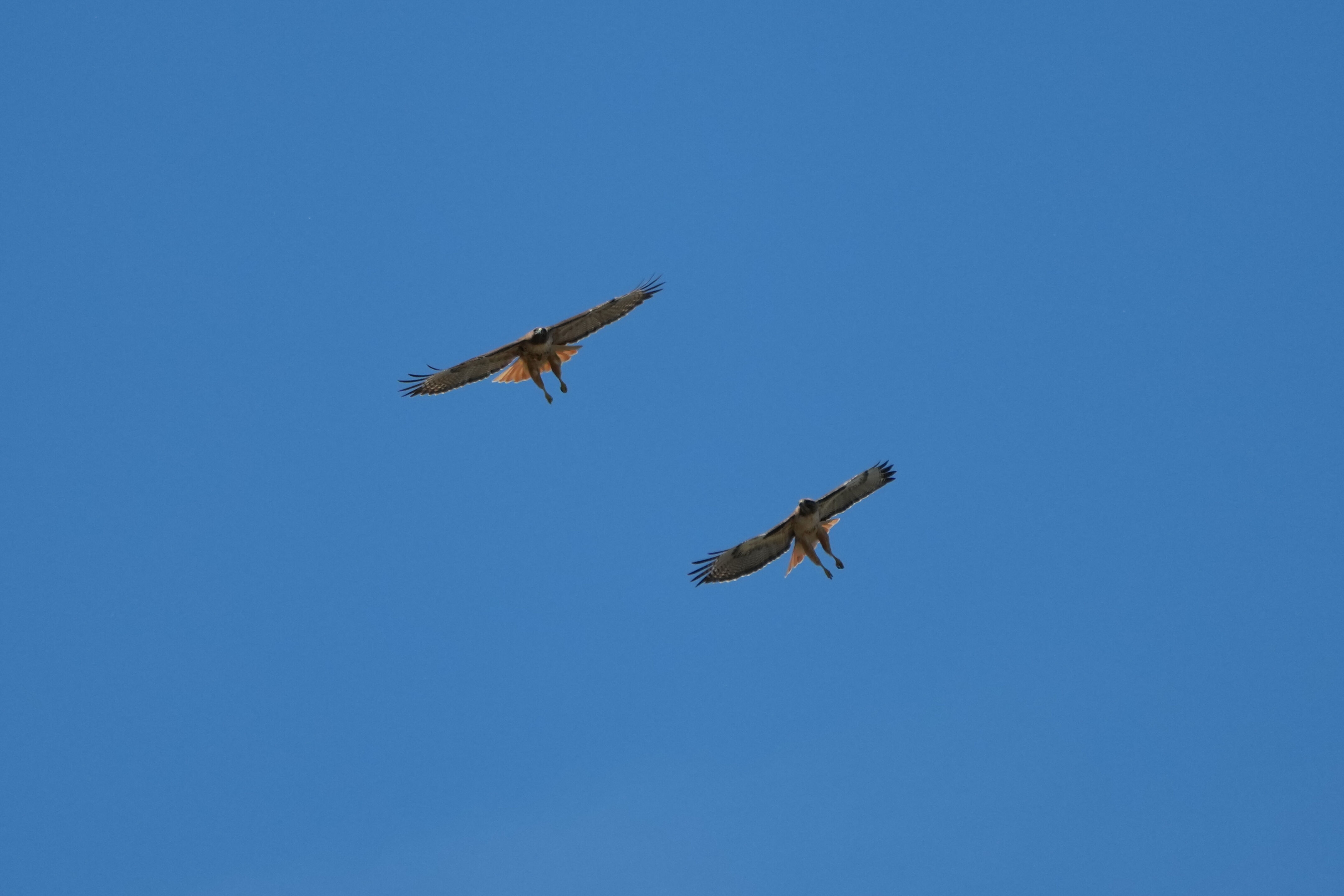 Contra Costa Canal Regional Trail