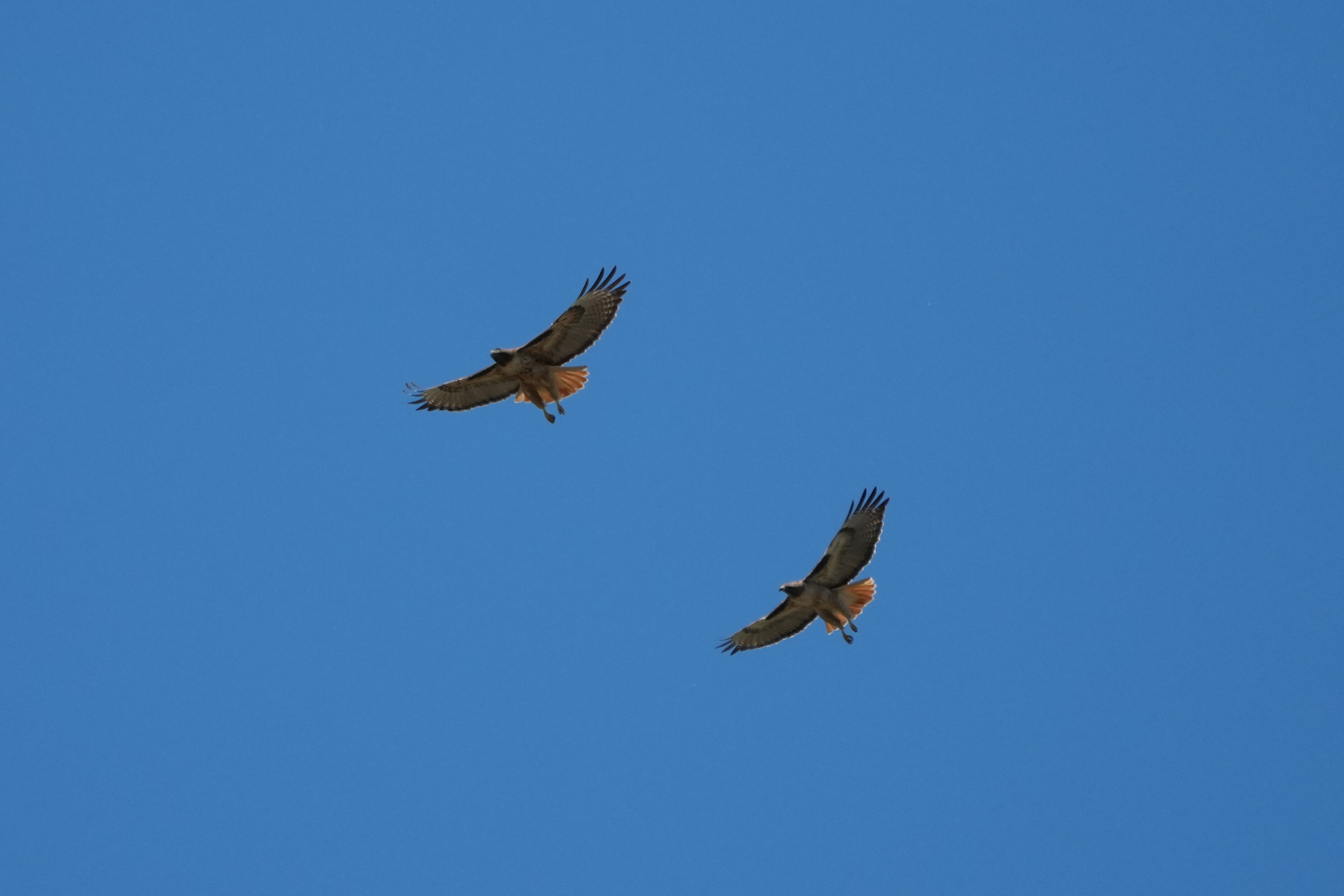 Contra Costa Canal Regional Trail