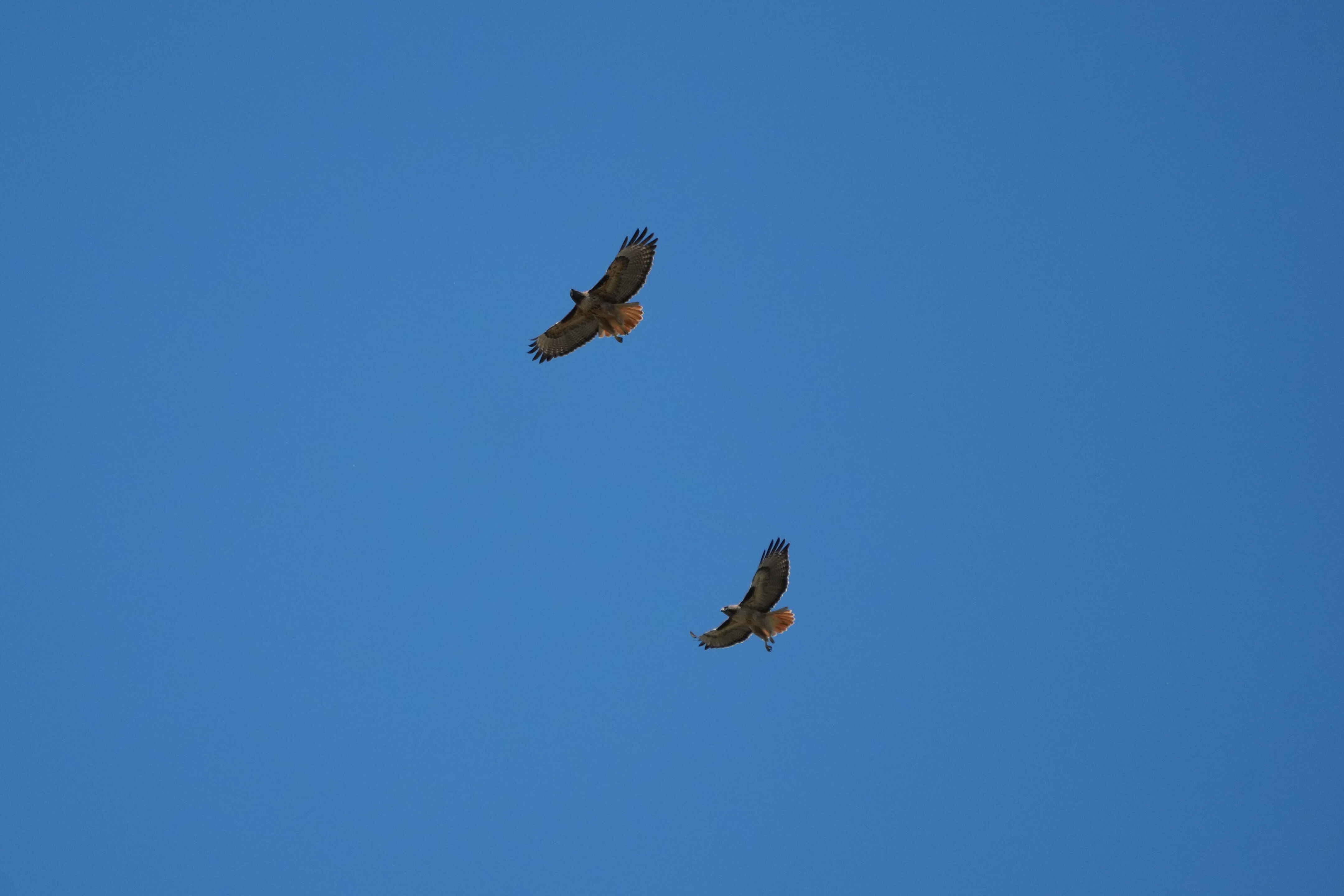Contra Costa Canal Regional Trail