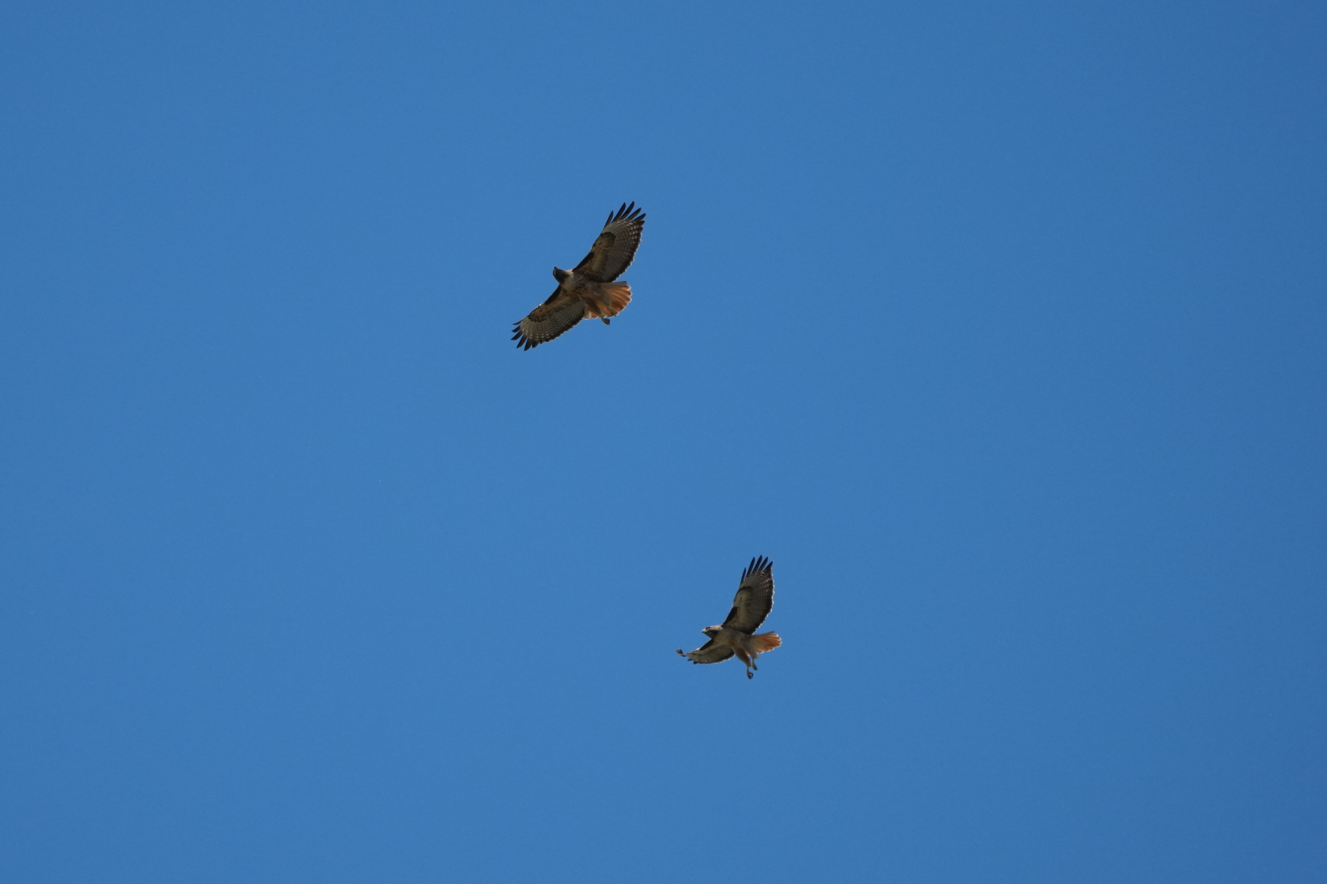 Contra Costa Canal Regional Trail