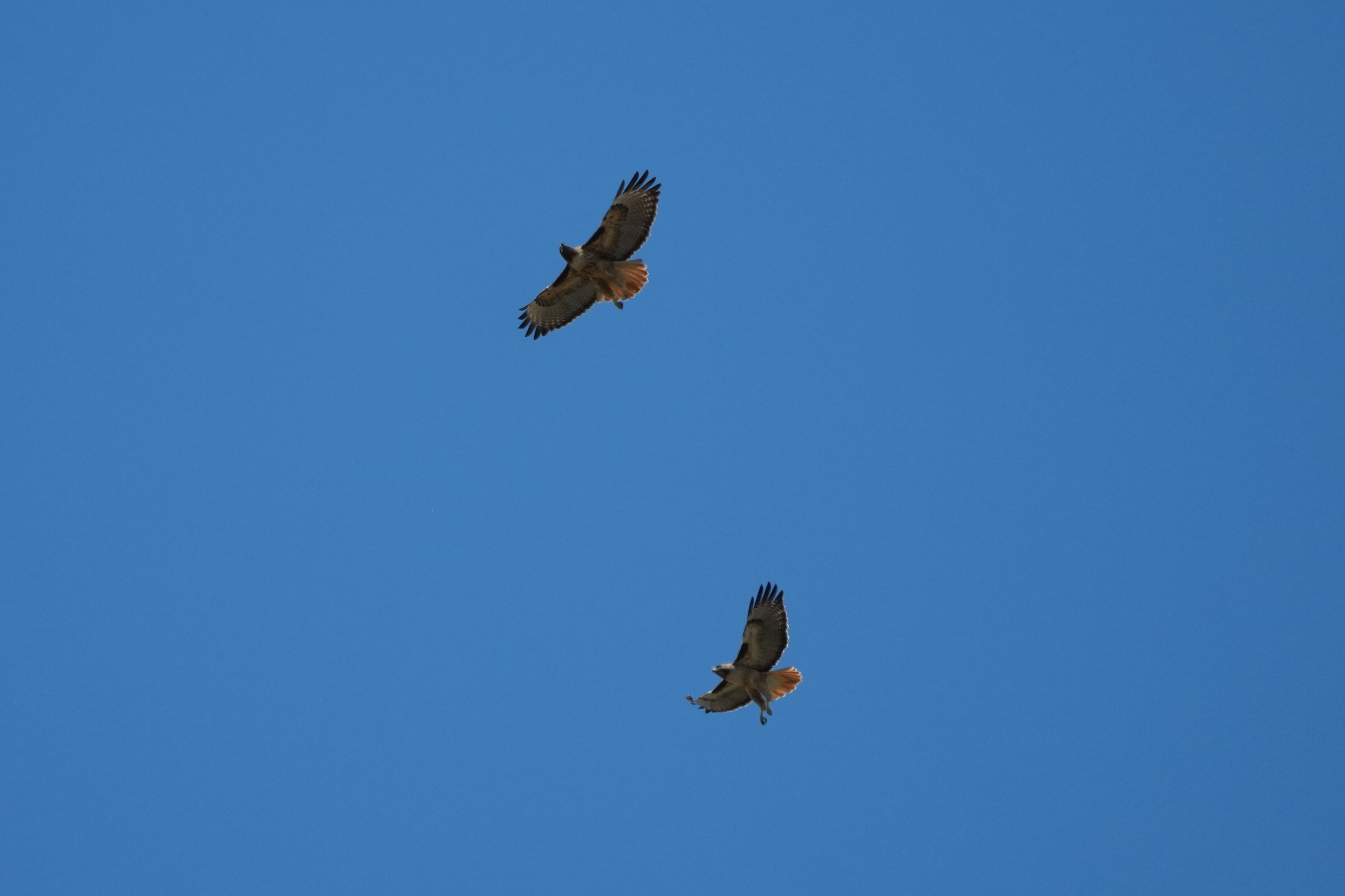 Contra Costa Canal Regional Trail