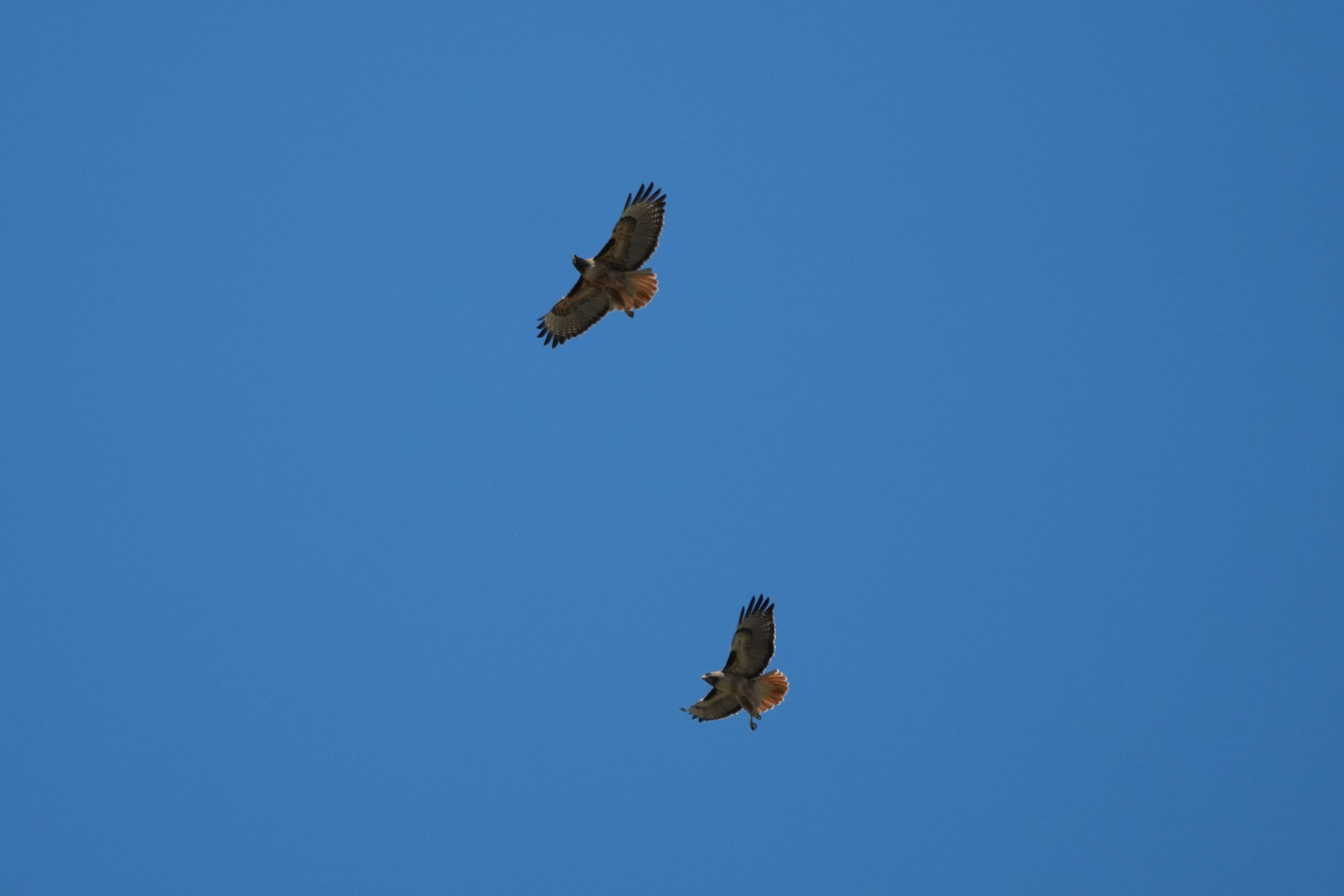 Contra Costa Canal Regional Trail