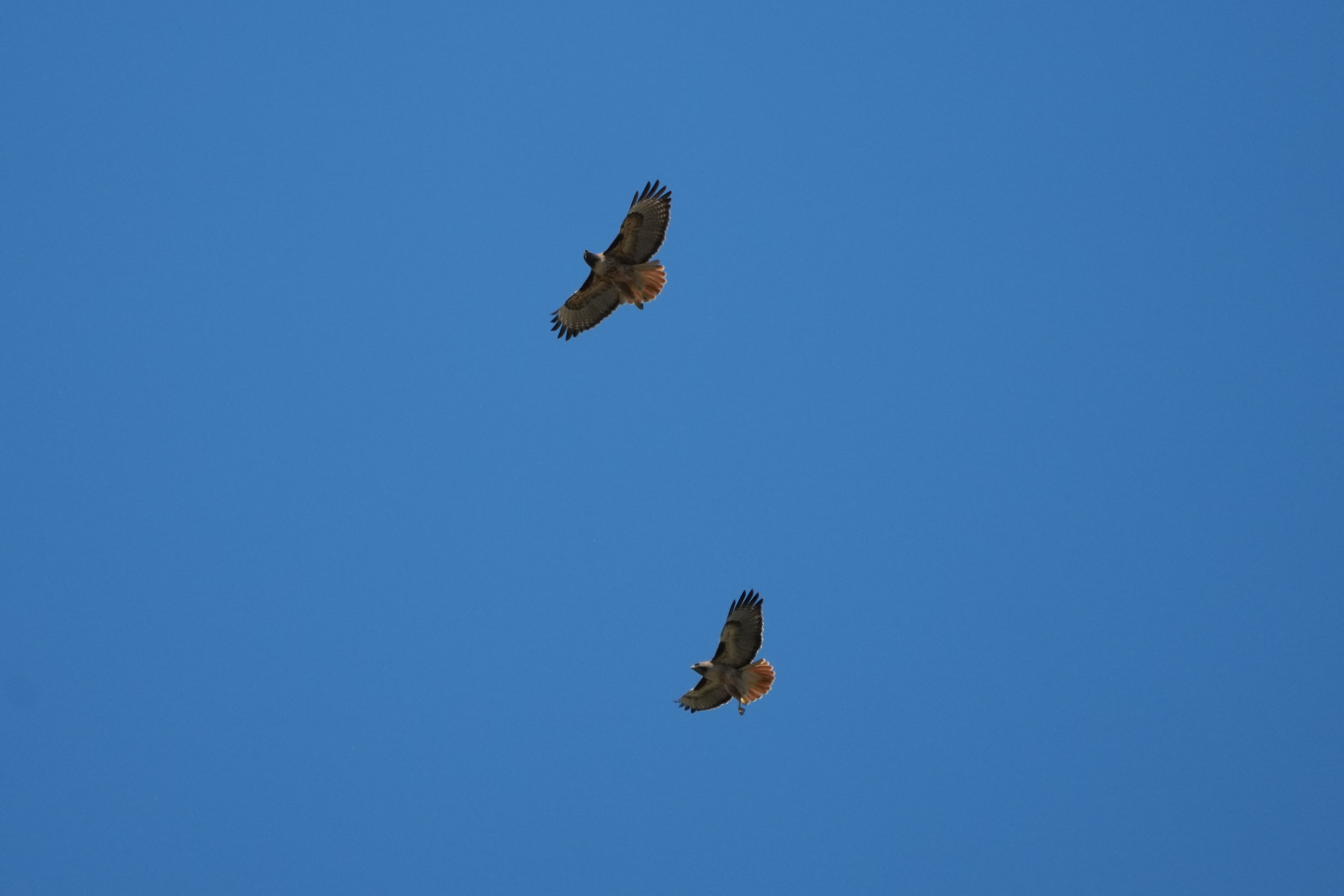 Contra Costa Canal Regional Trail