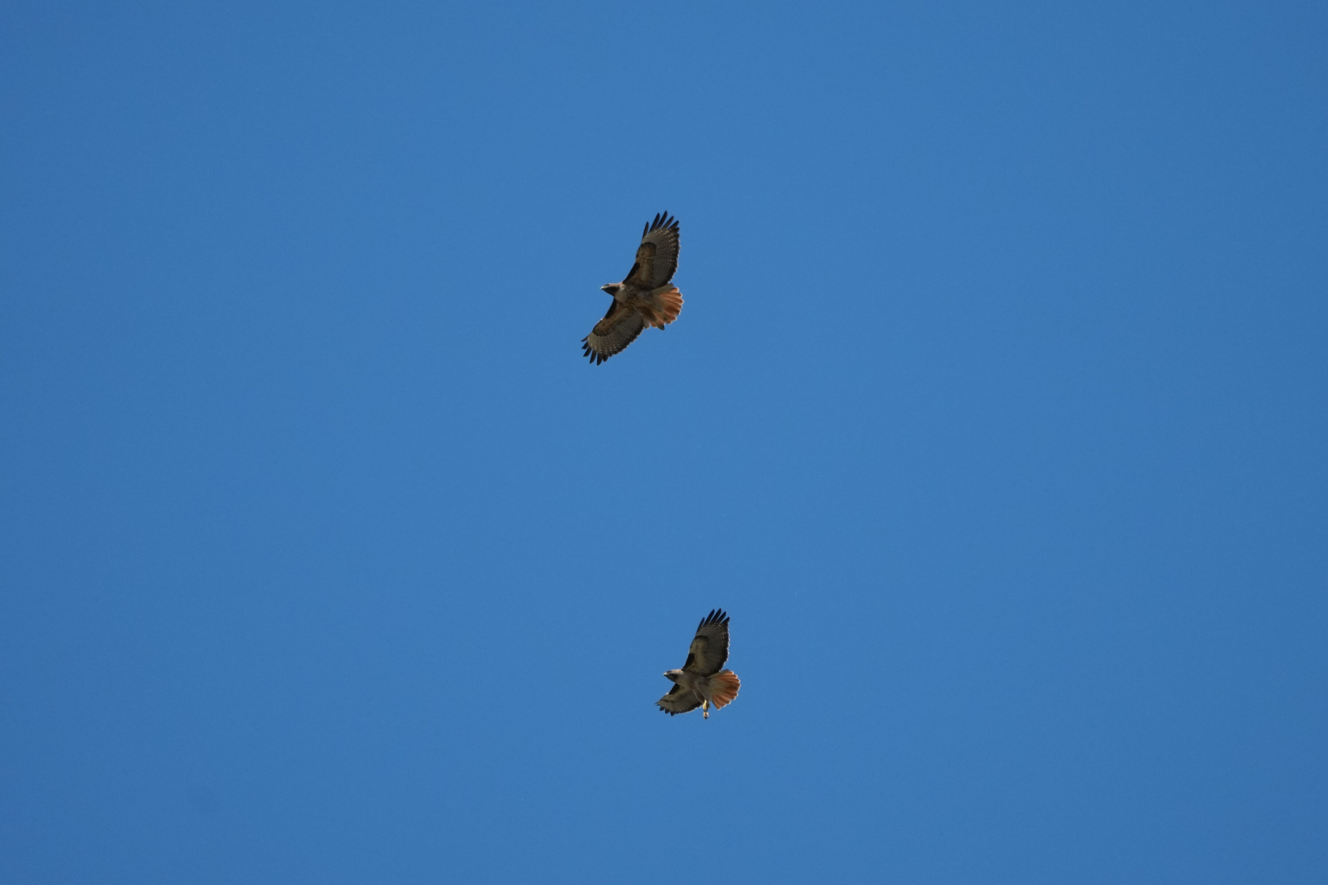 Contra Costa Canal Regional Trail