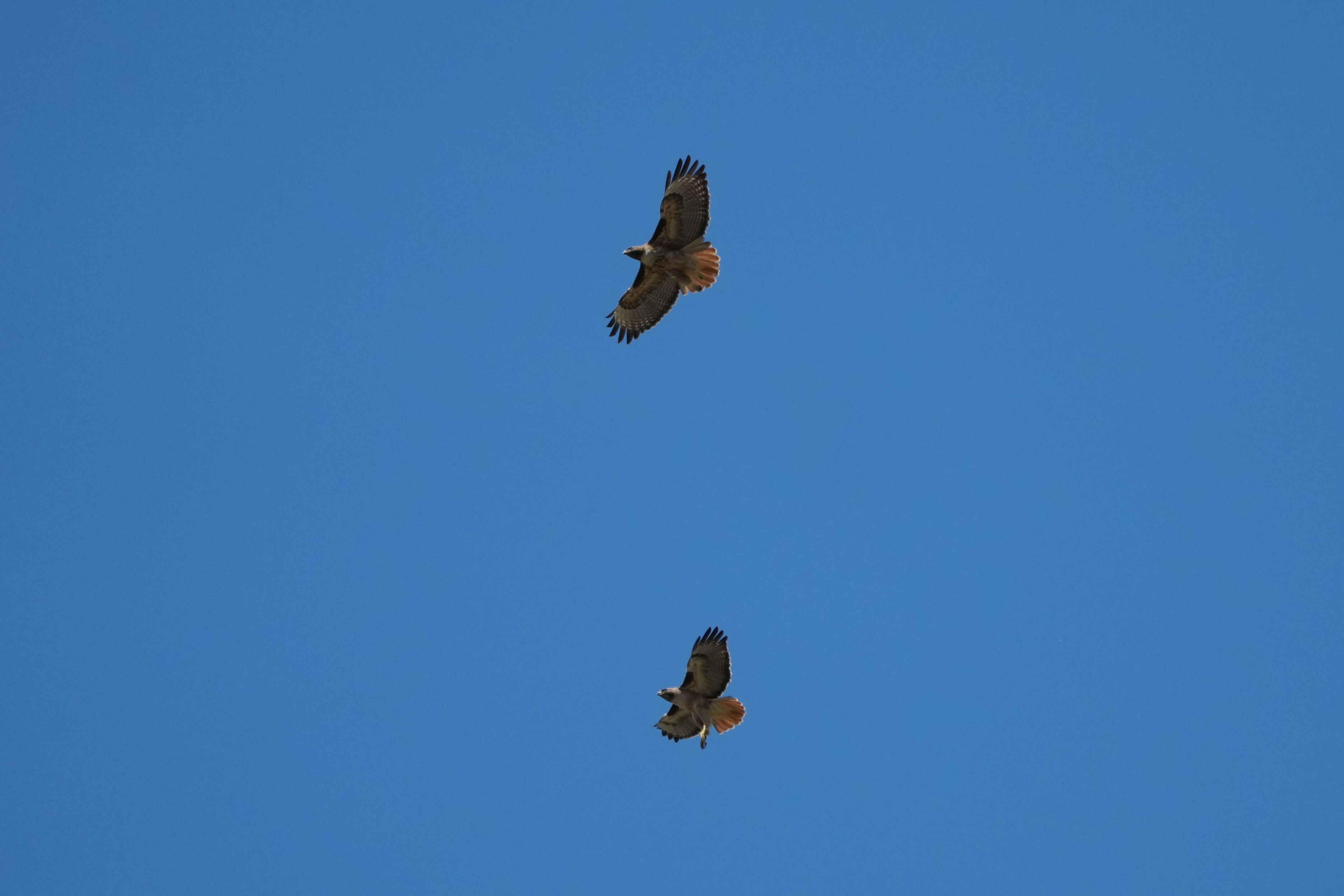 Contra Costa Canal Regional Trail