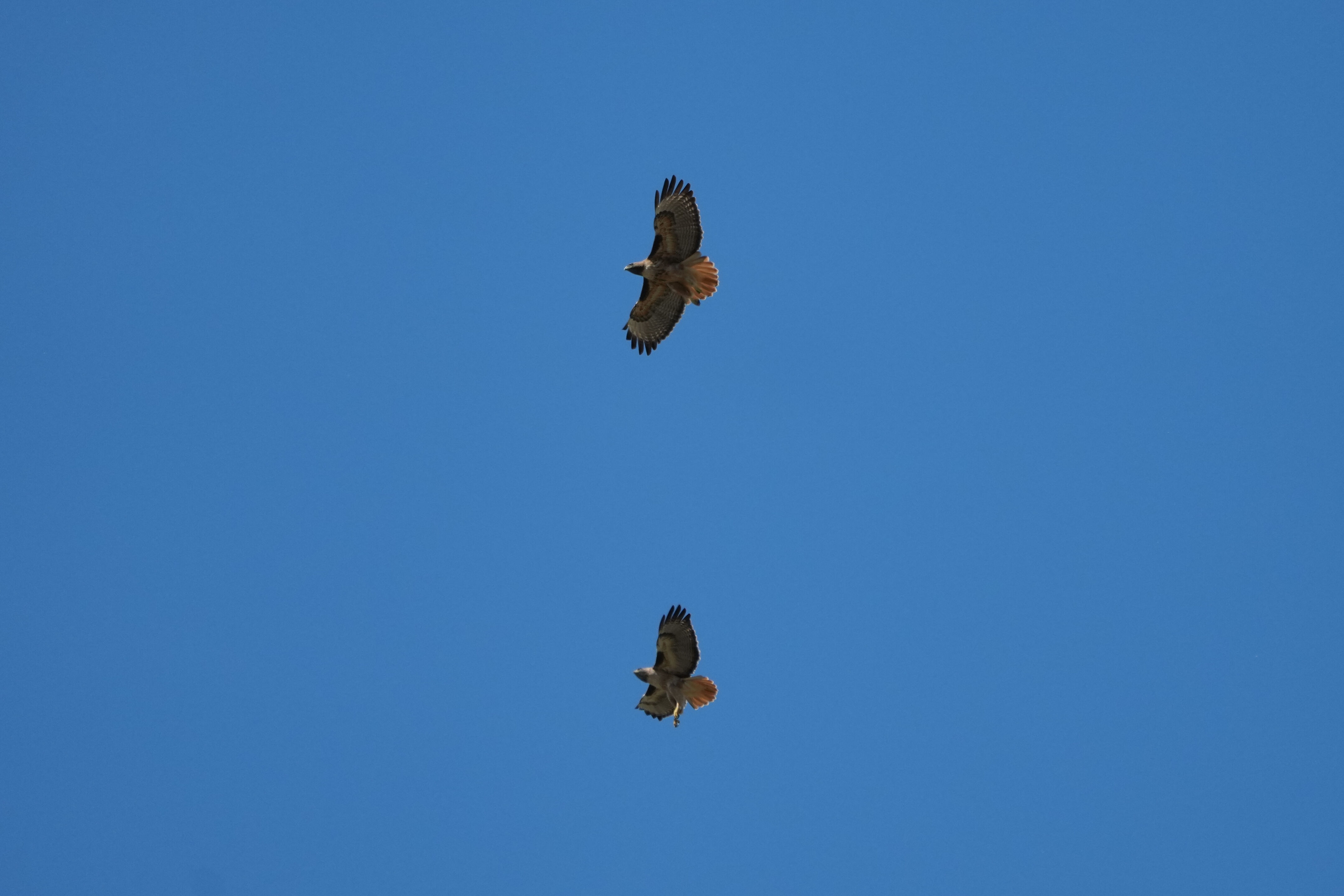 Contra Costa Canal Regional Trail