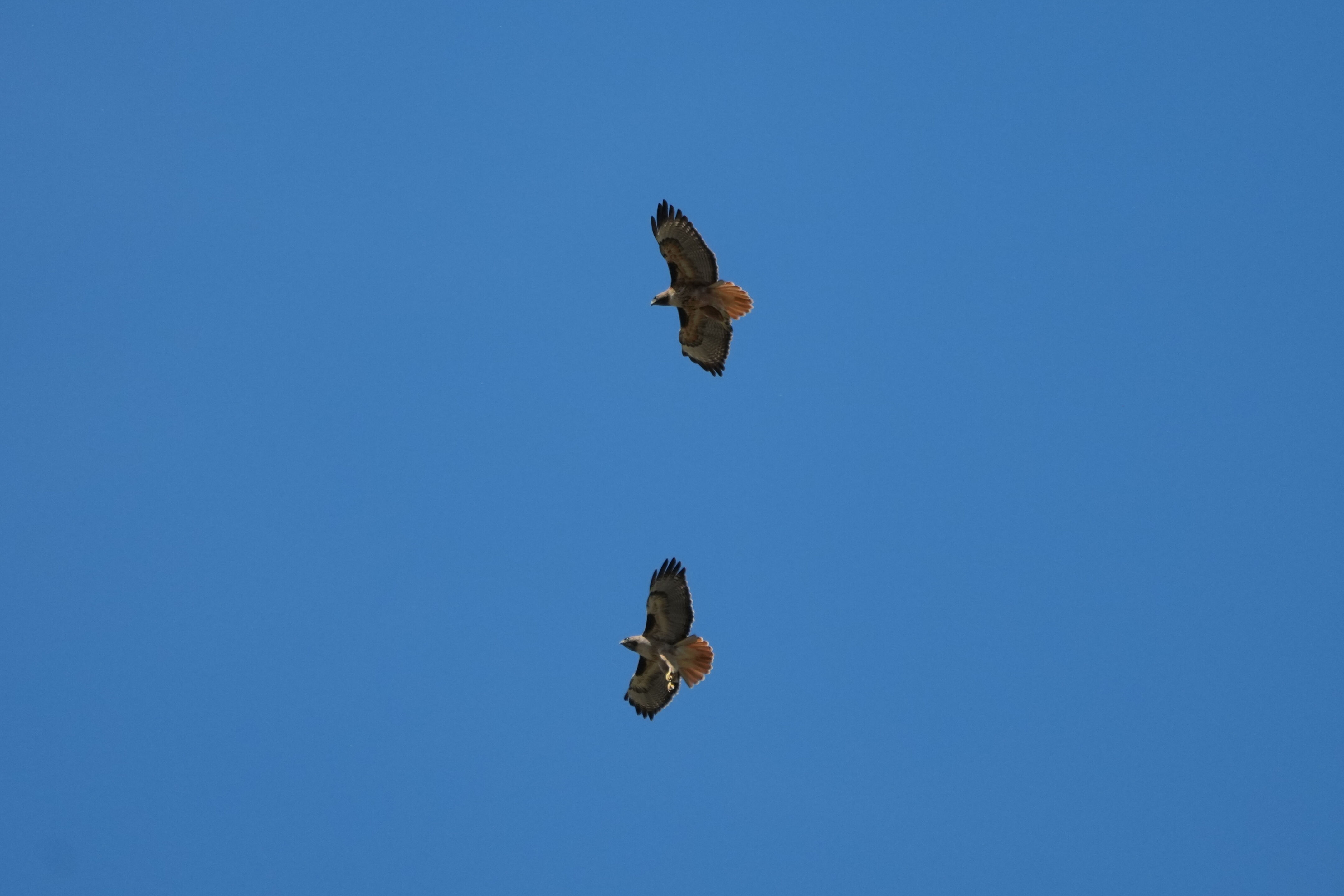Contra Costa Canal Regional Trail