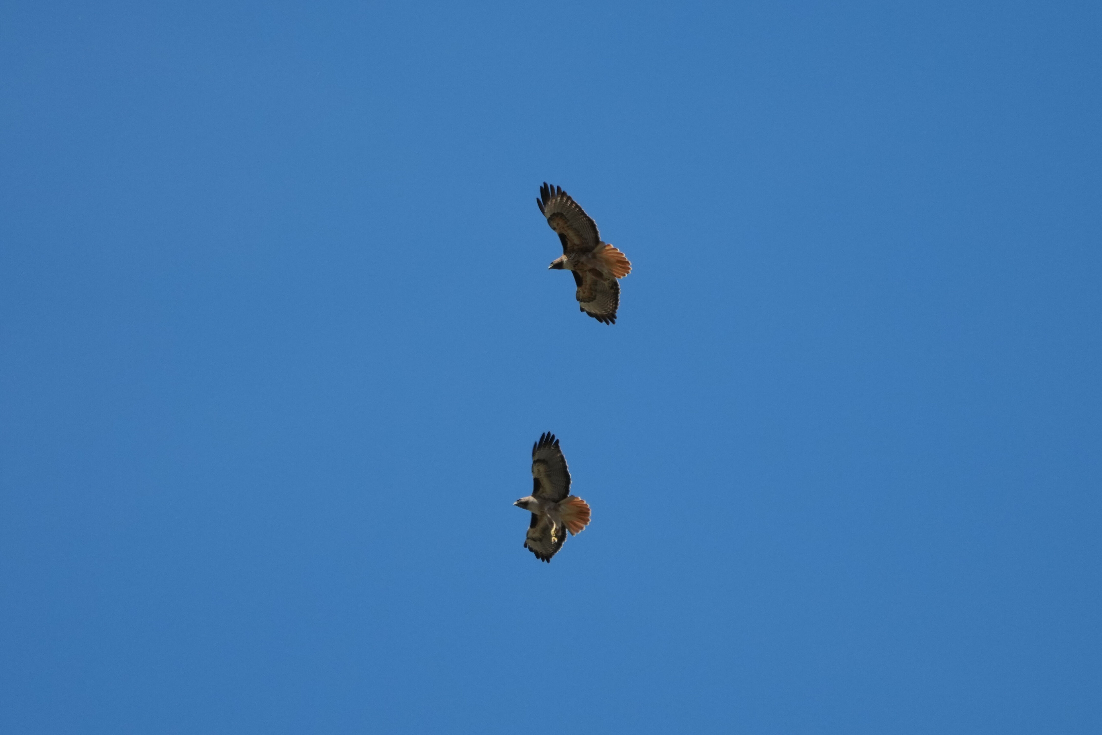 Contra Costa Canal Regional Trail
