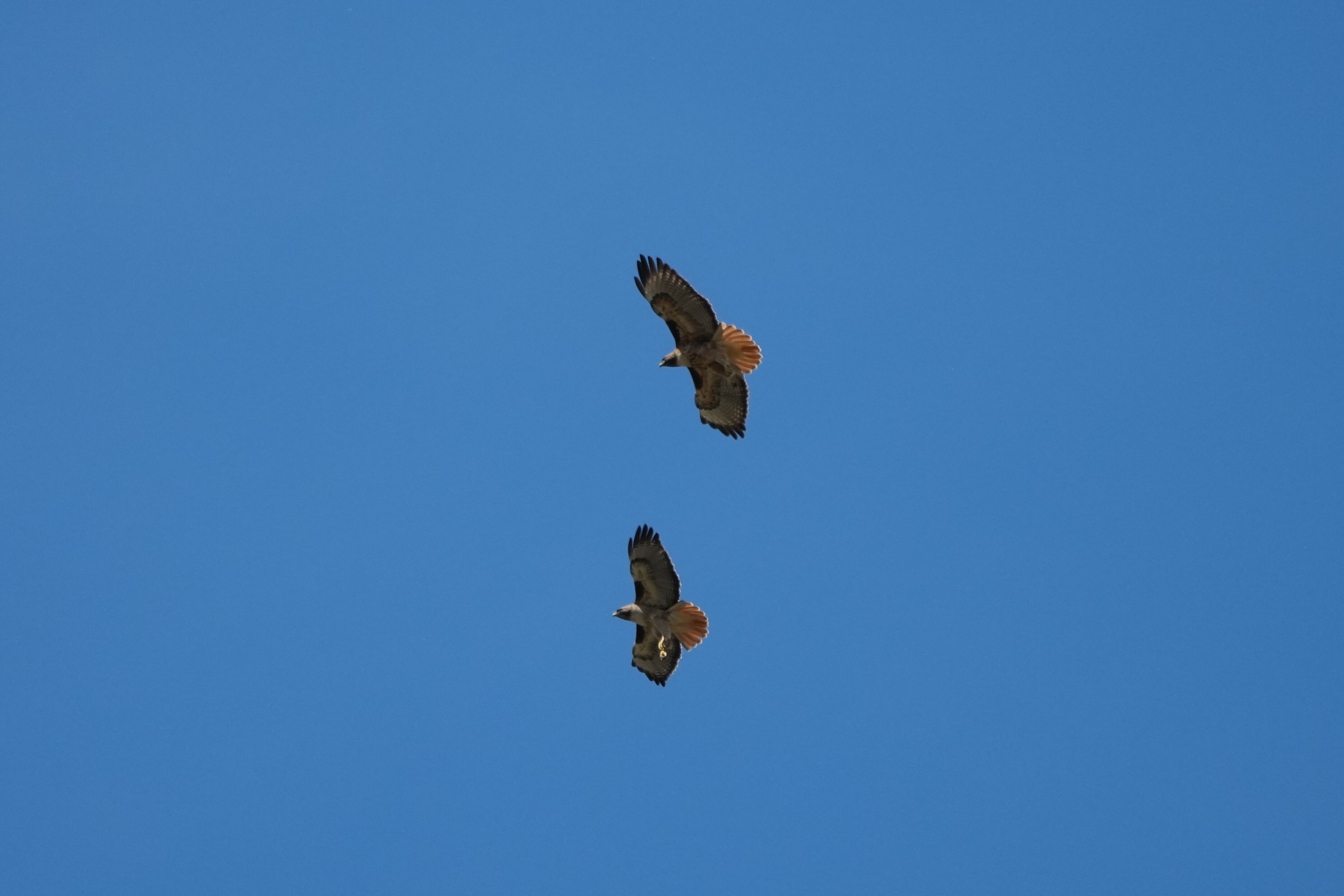 Contra Costa Canal Regional Trail