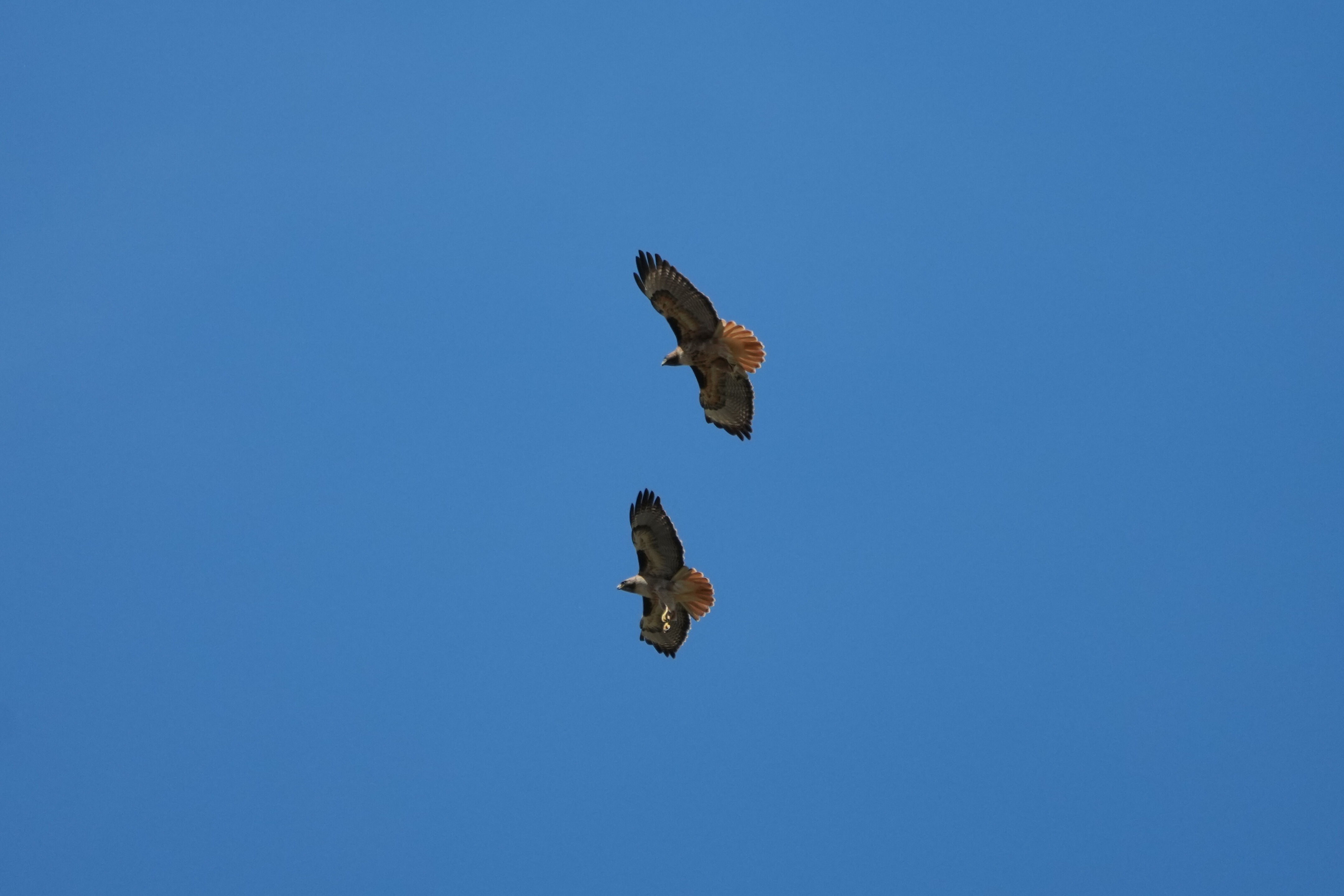 Contra Costa Canal Regional Trail