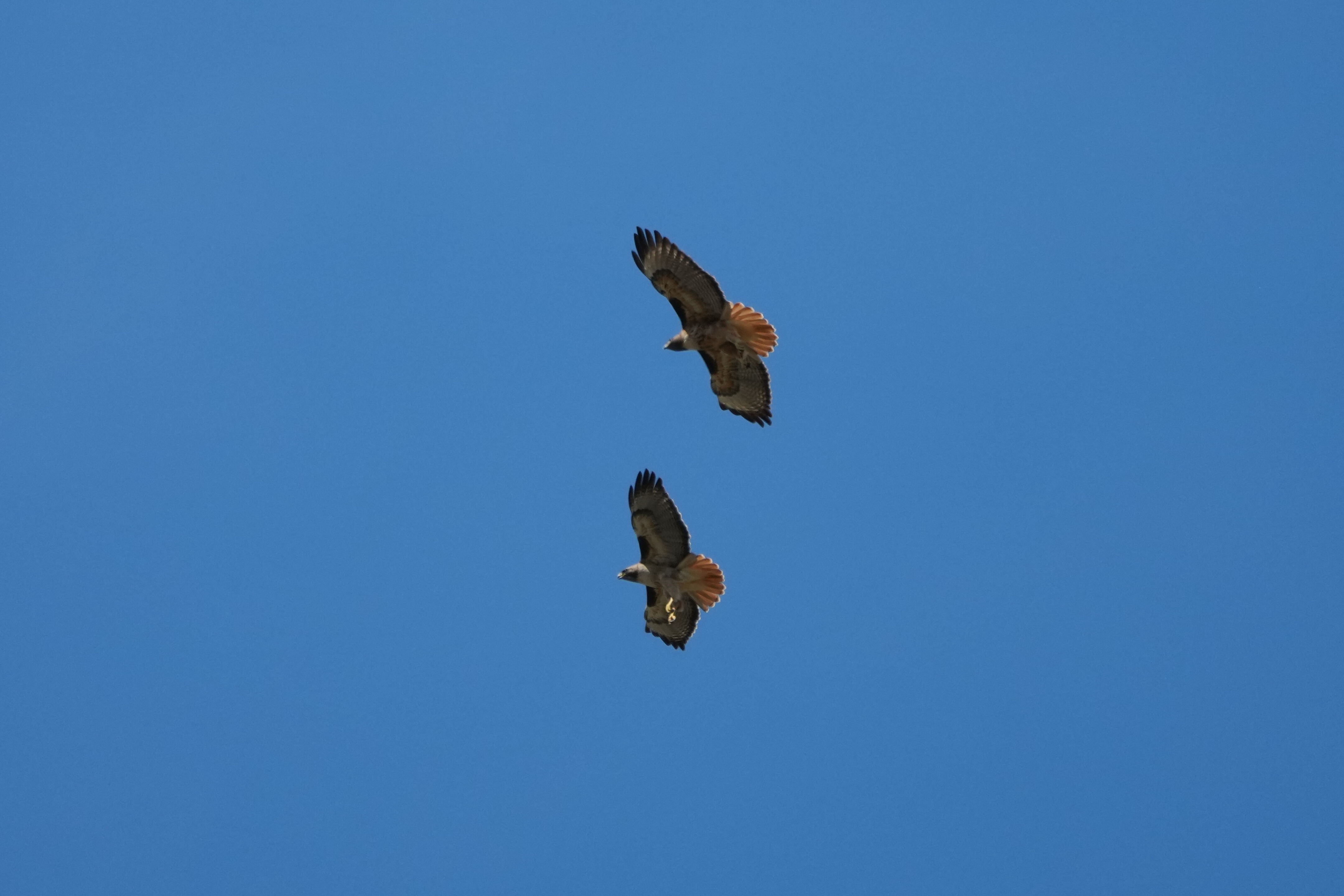 Contra Costa Canal Regional Trail