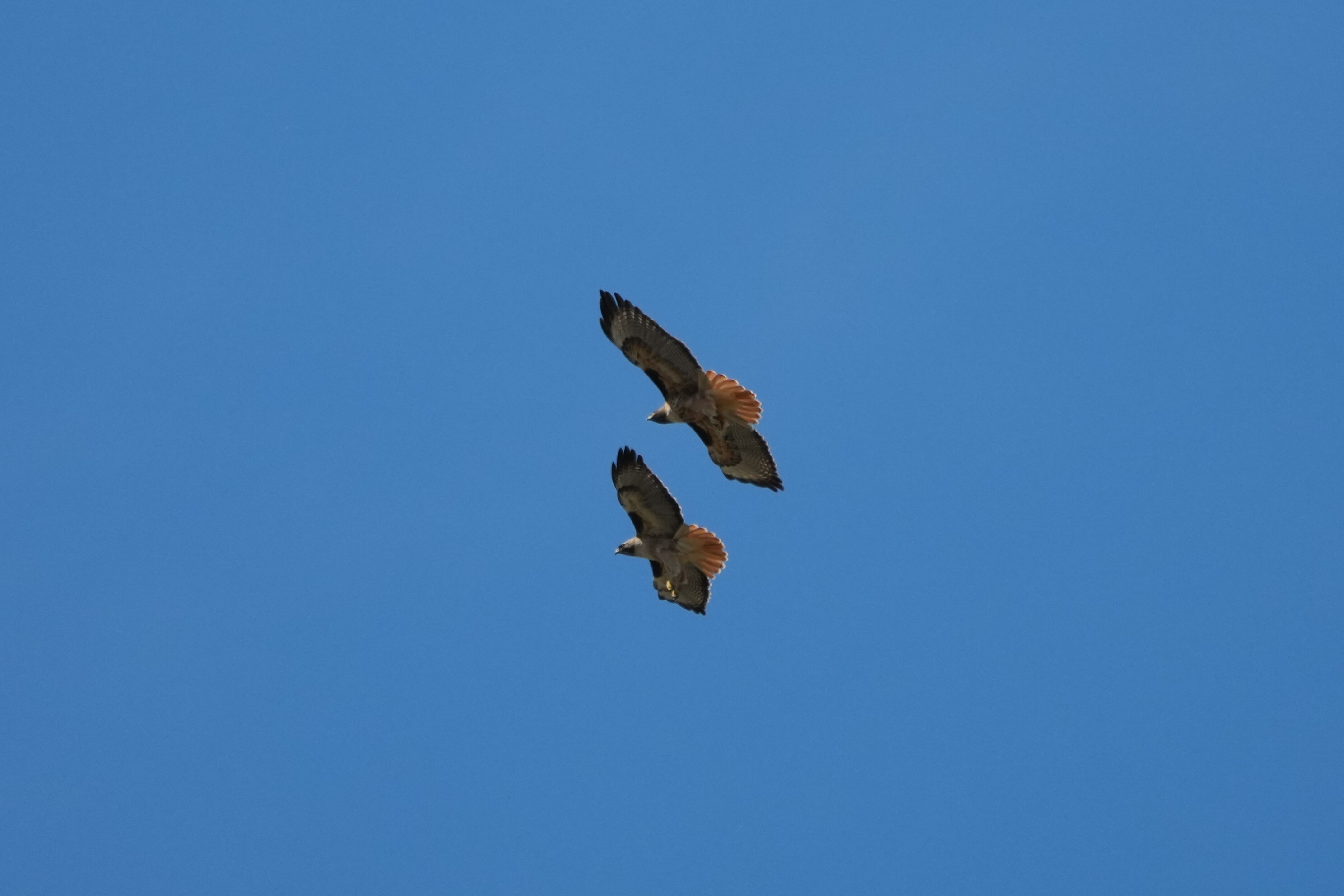 Contra Costa Canal Regional Trail