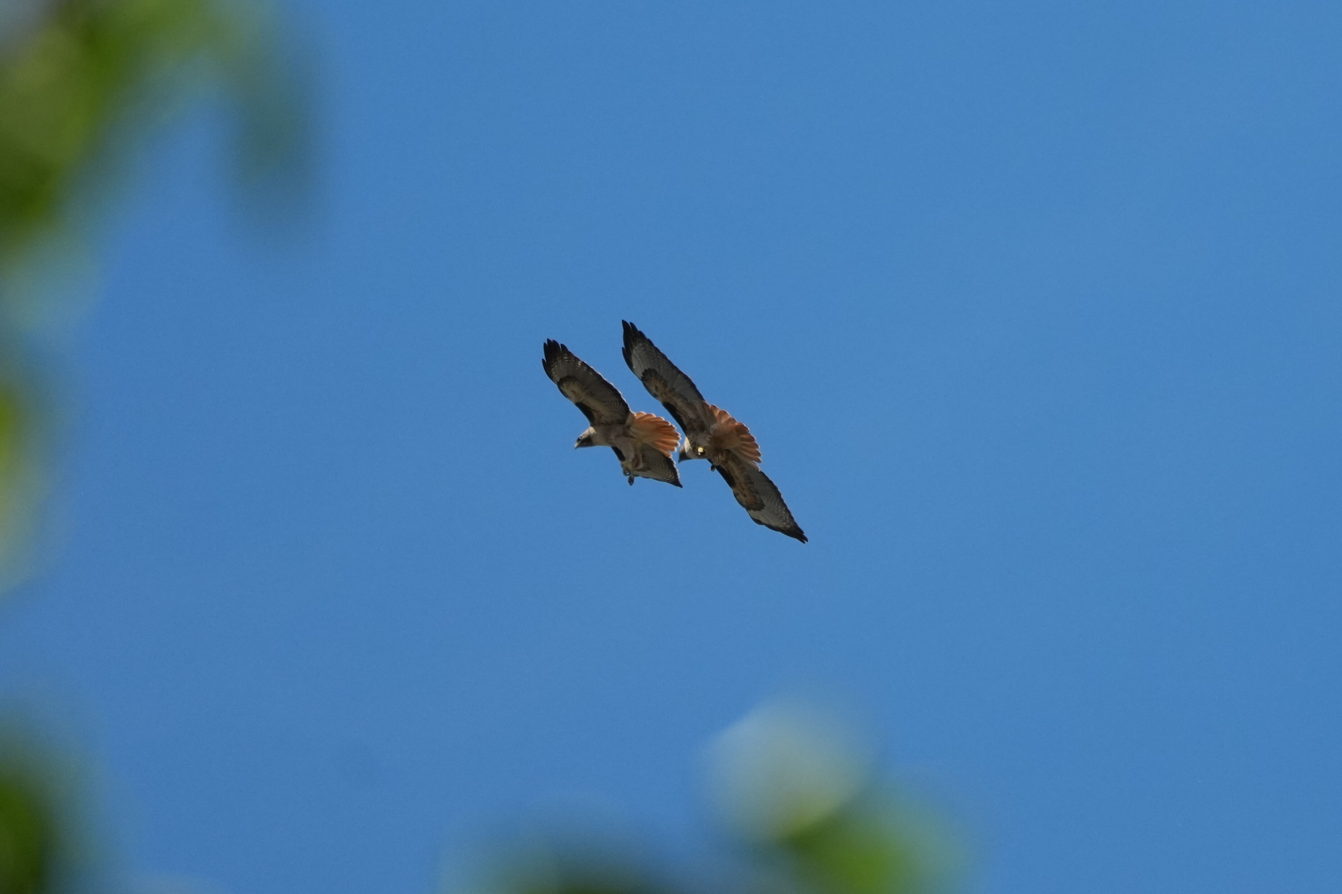 Contra Costa Canal Regional Trail