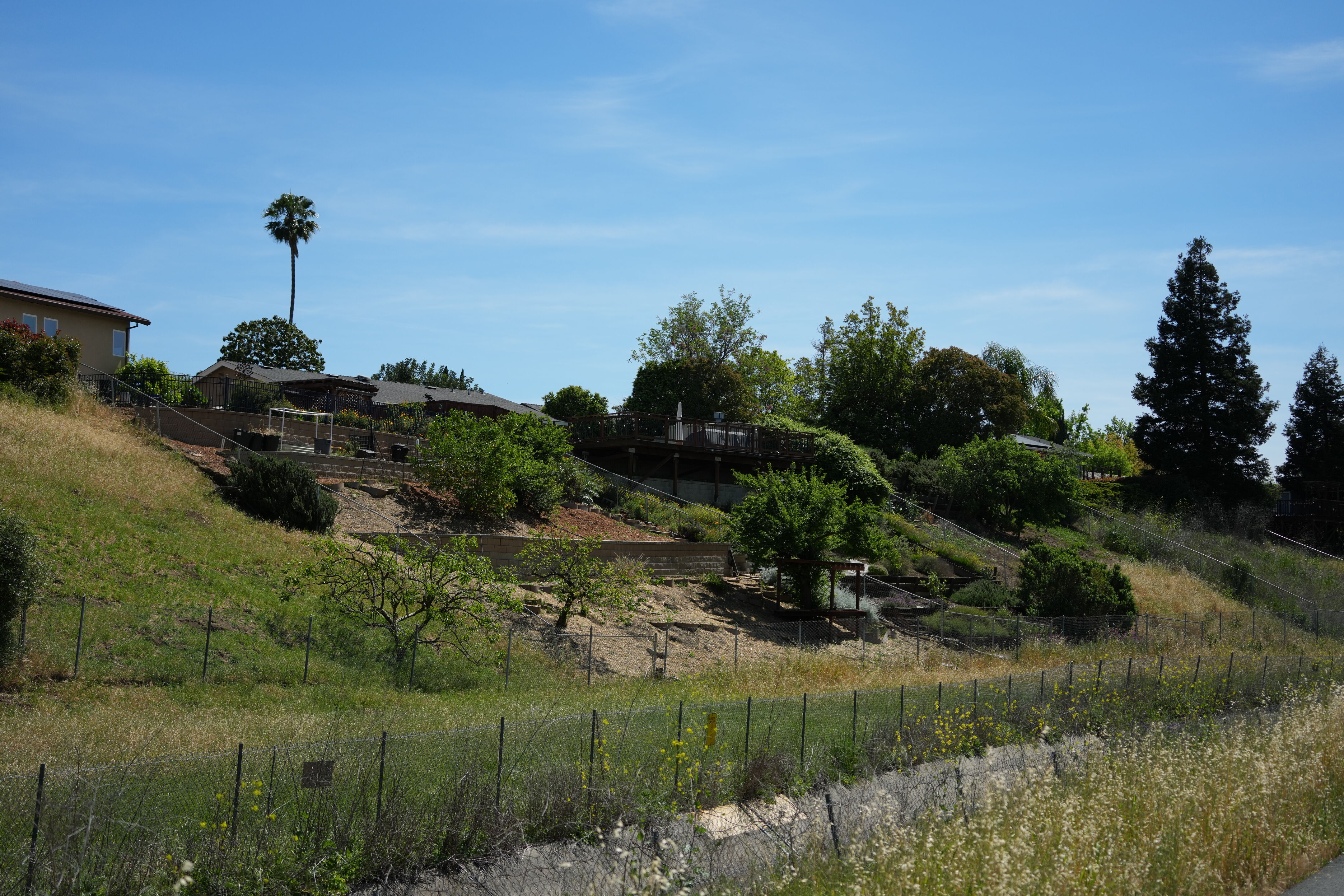 Contra Costa Canal Regional Trail