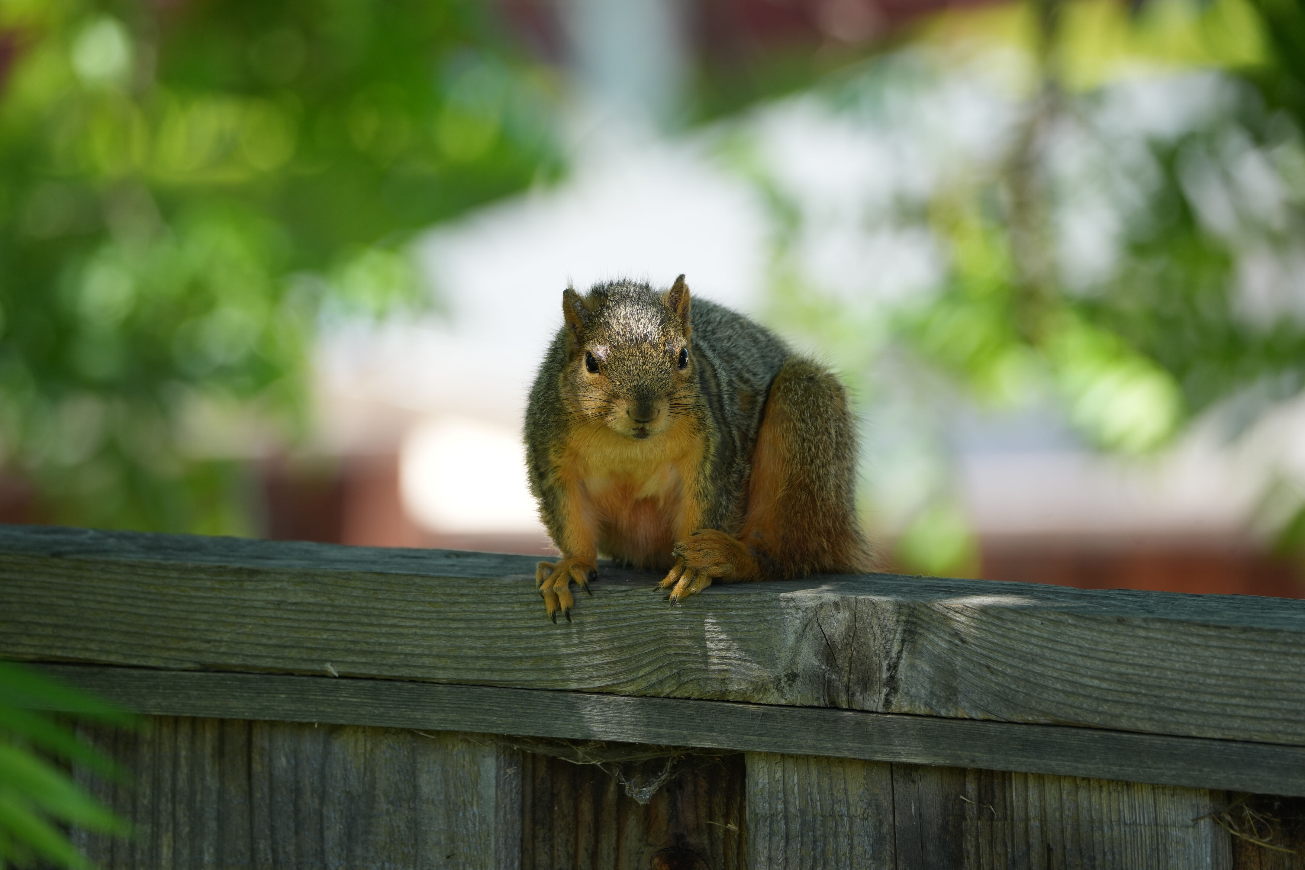 Contra Costa Canal Regional Trail