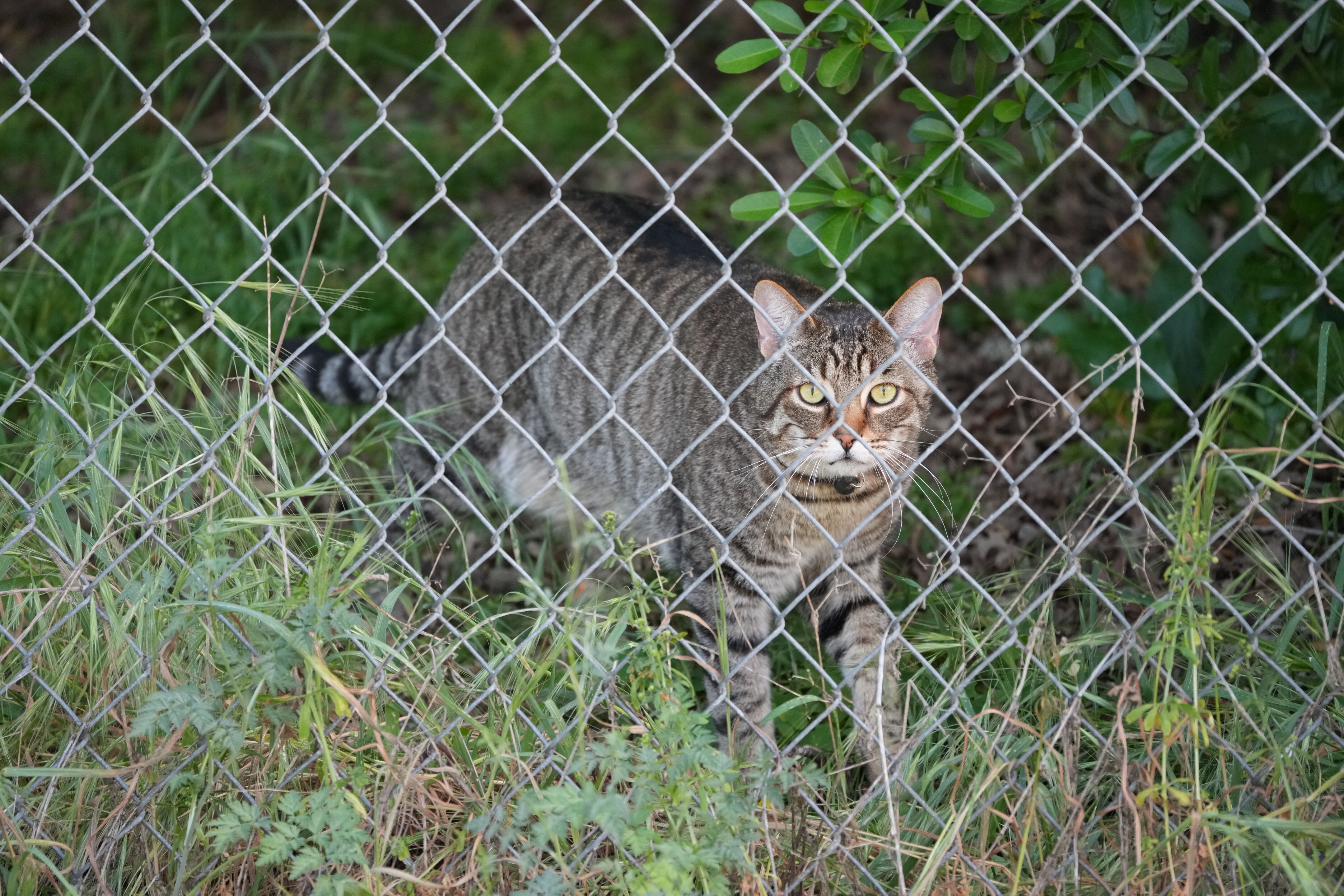 Contra Costa Canal Regional Trail
