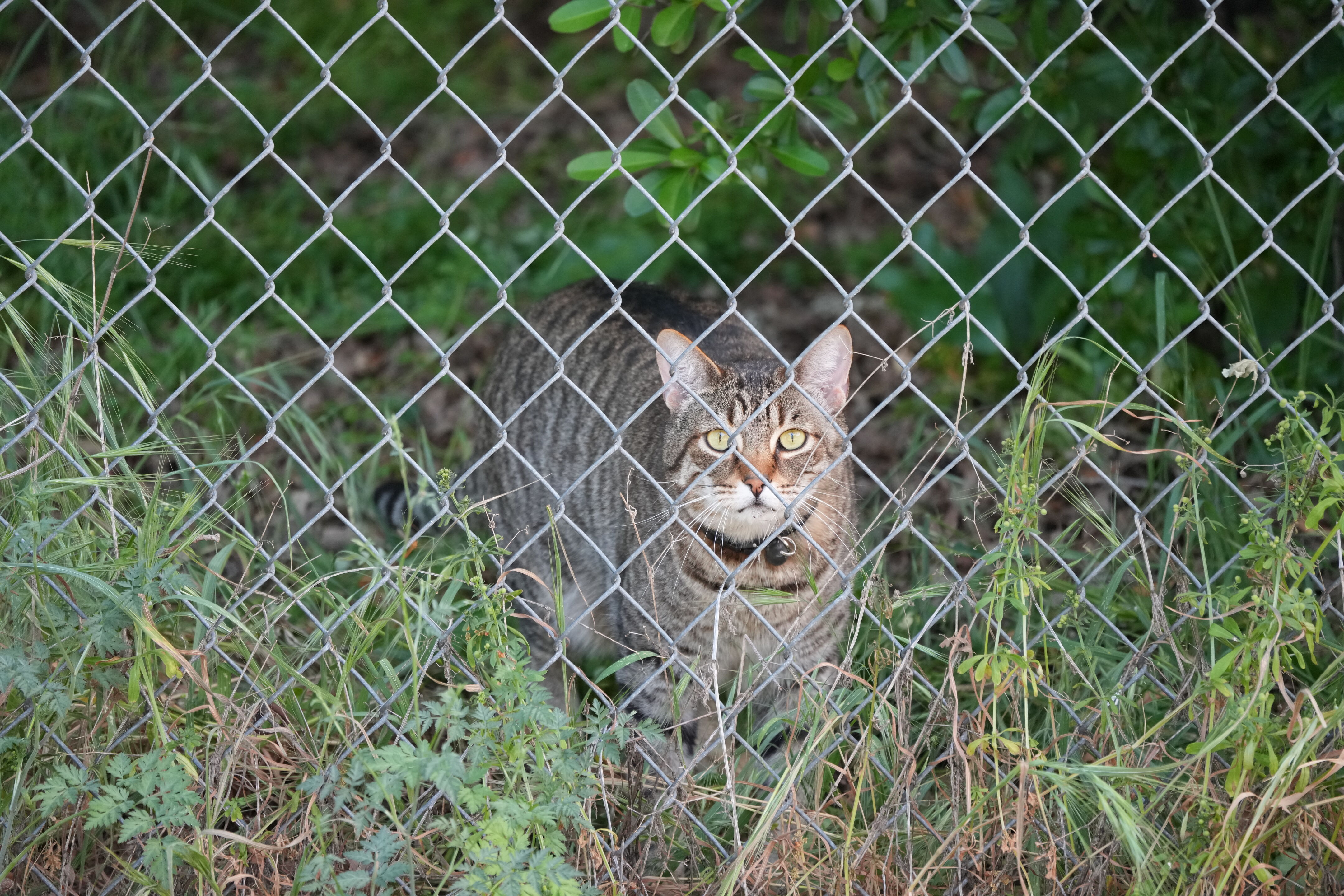 Contra Costa Canal Regional Trail