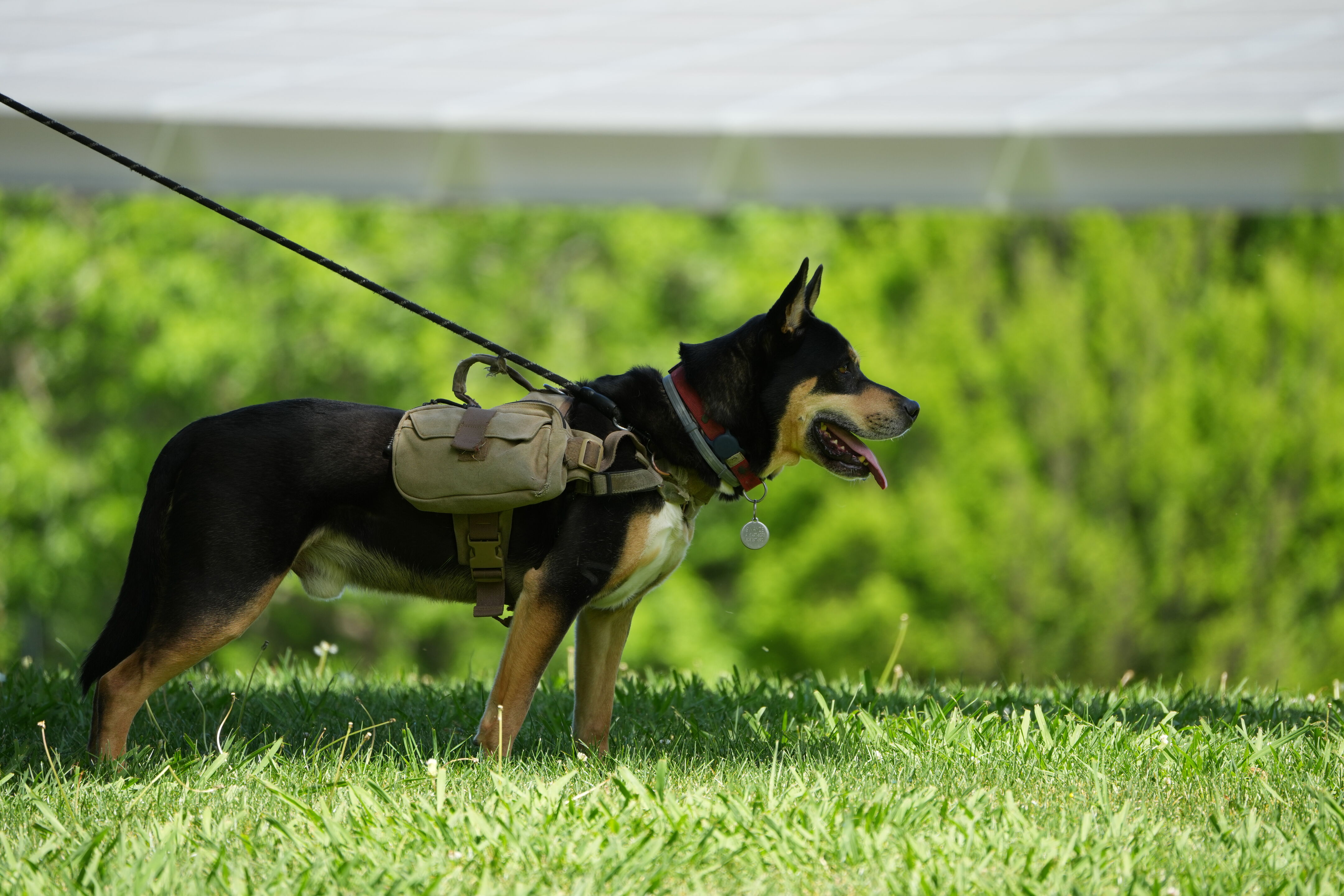 Contra Costa Canal Regional Trail