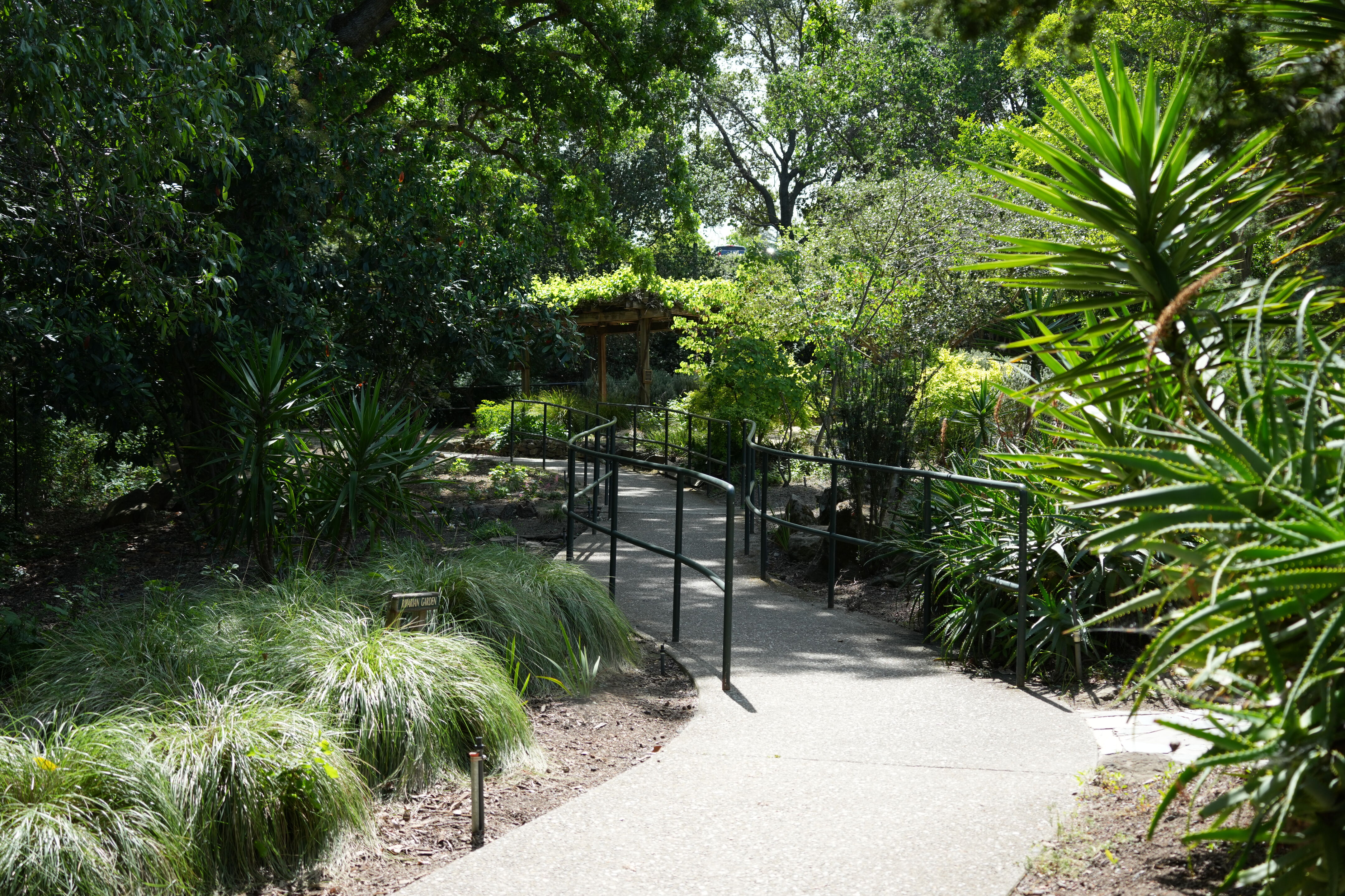 Contra Costa Canal Regional Trail