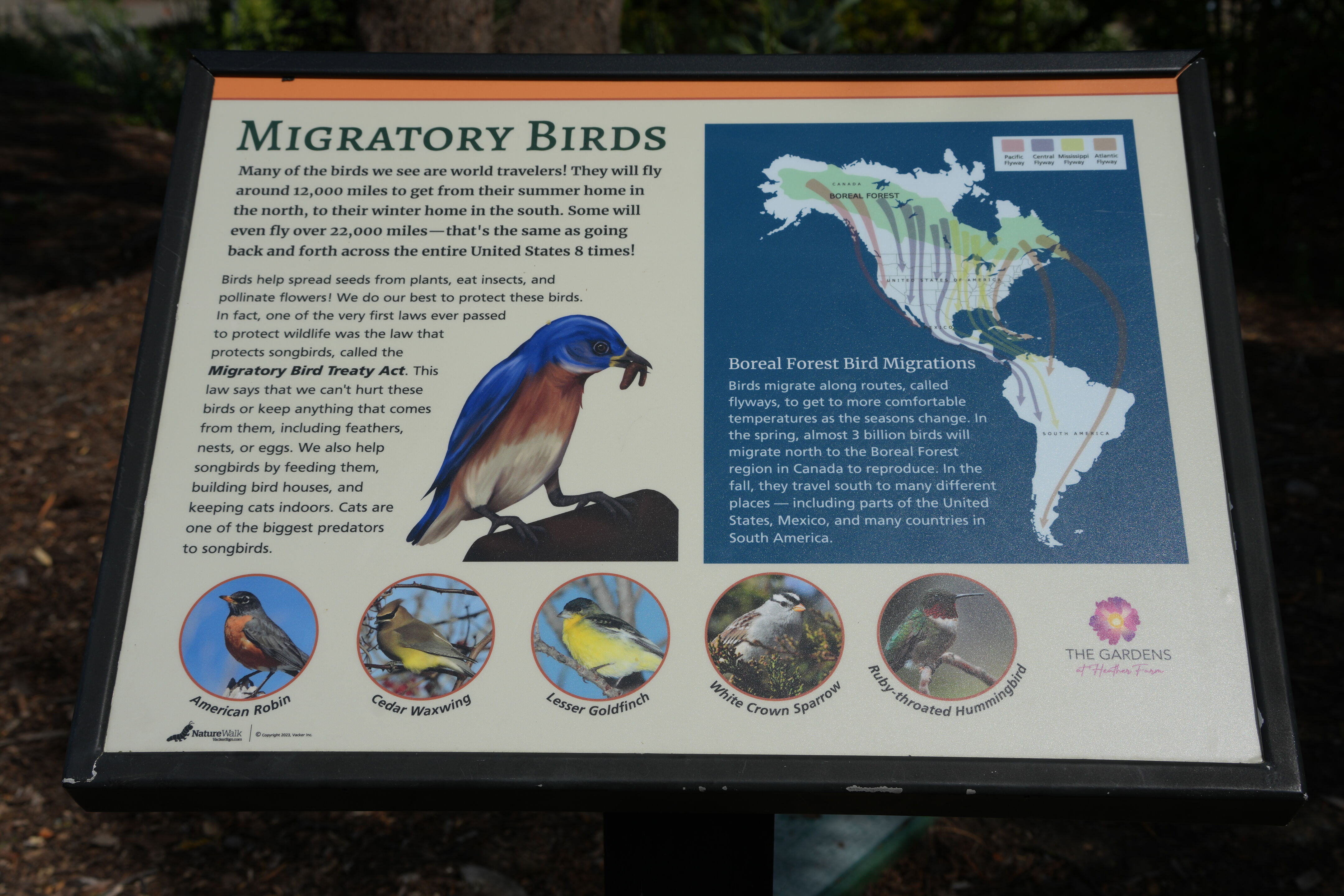 Contra Costa Canal Regional Trail