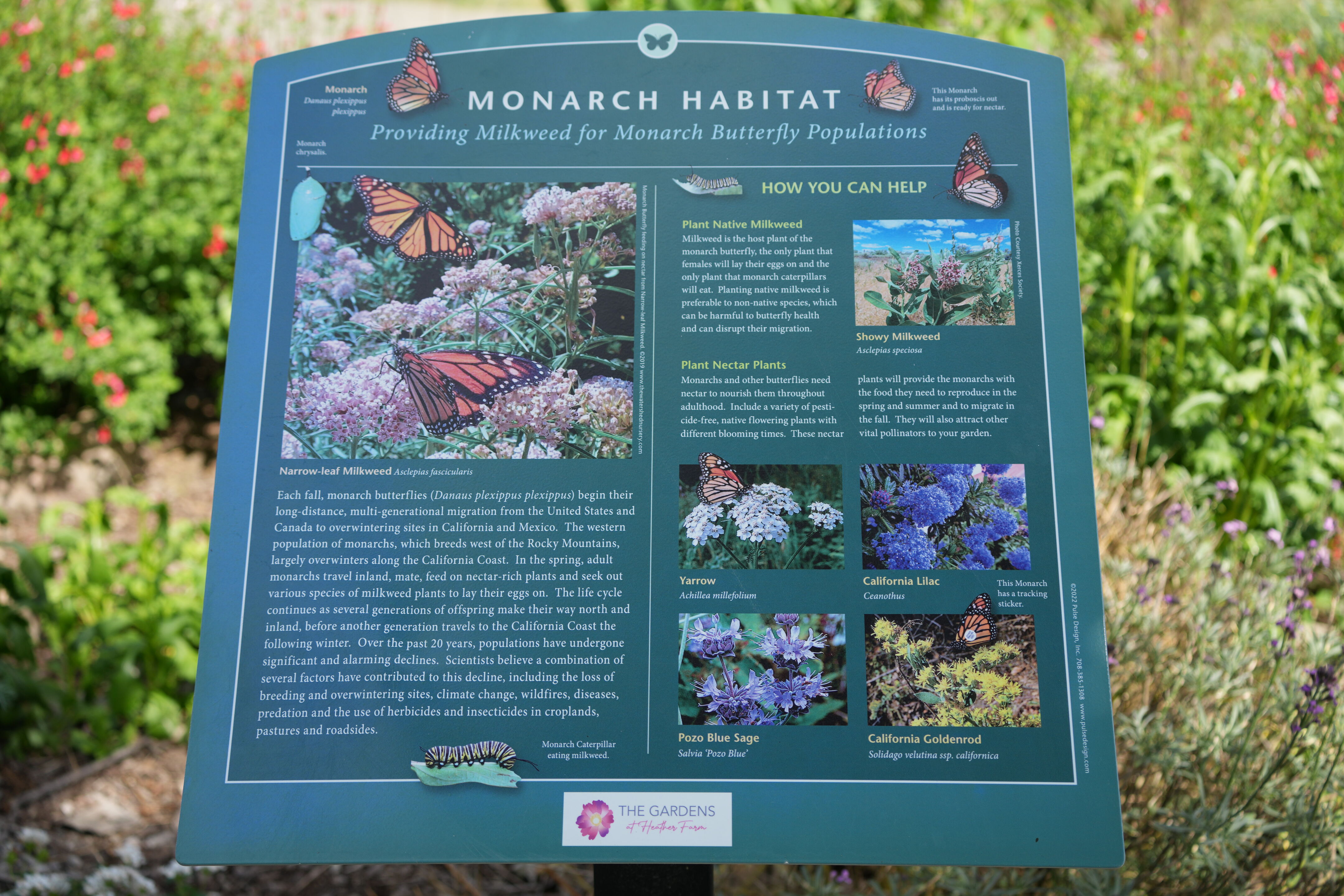 Contra Costa Canal Regional Trail