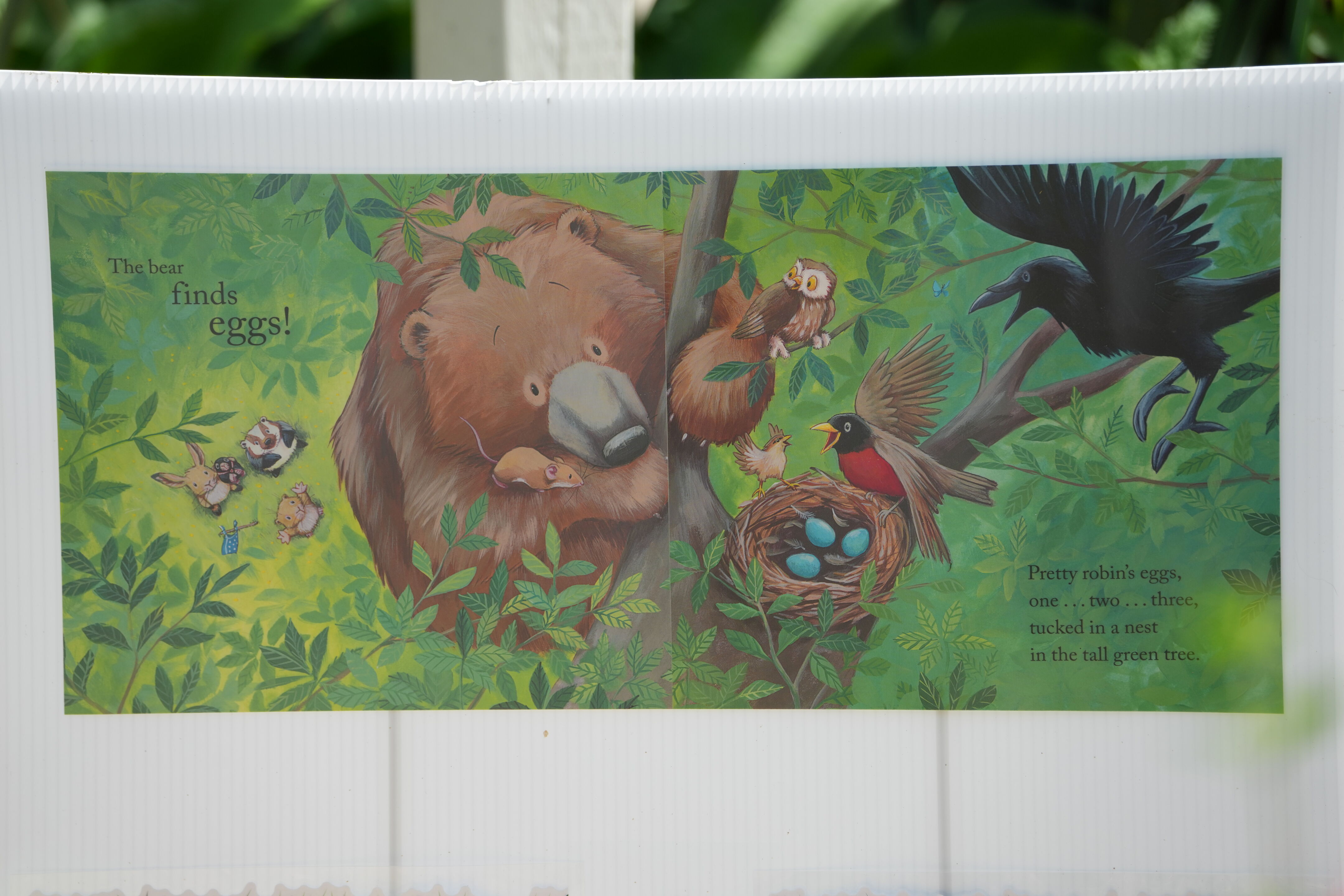 Contra Costa Canal Regional Trail