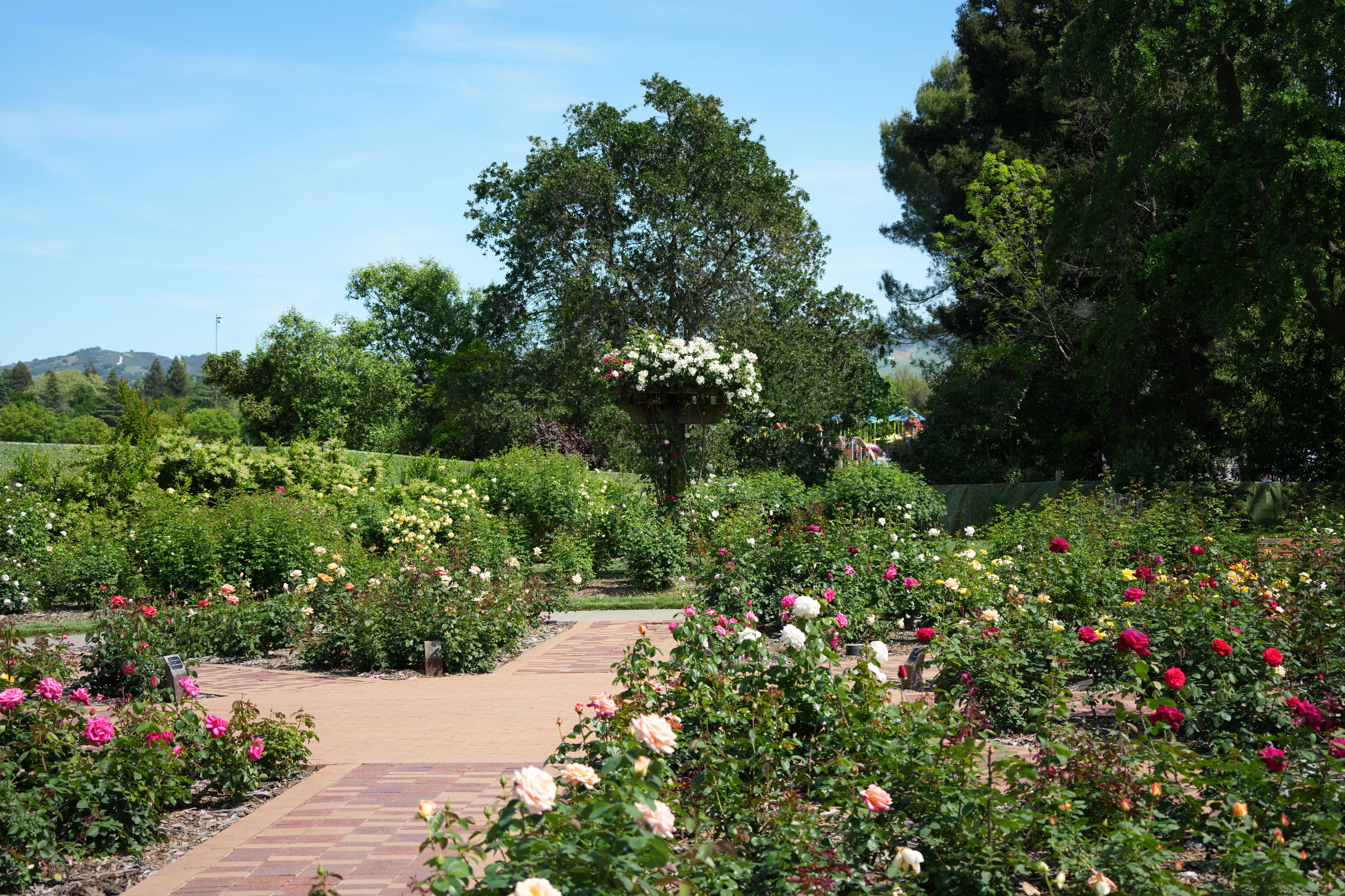 Contra Costa Canal Regional Trail