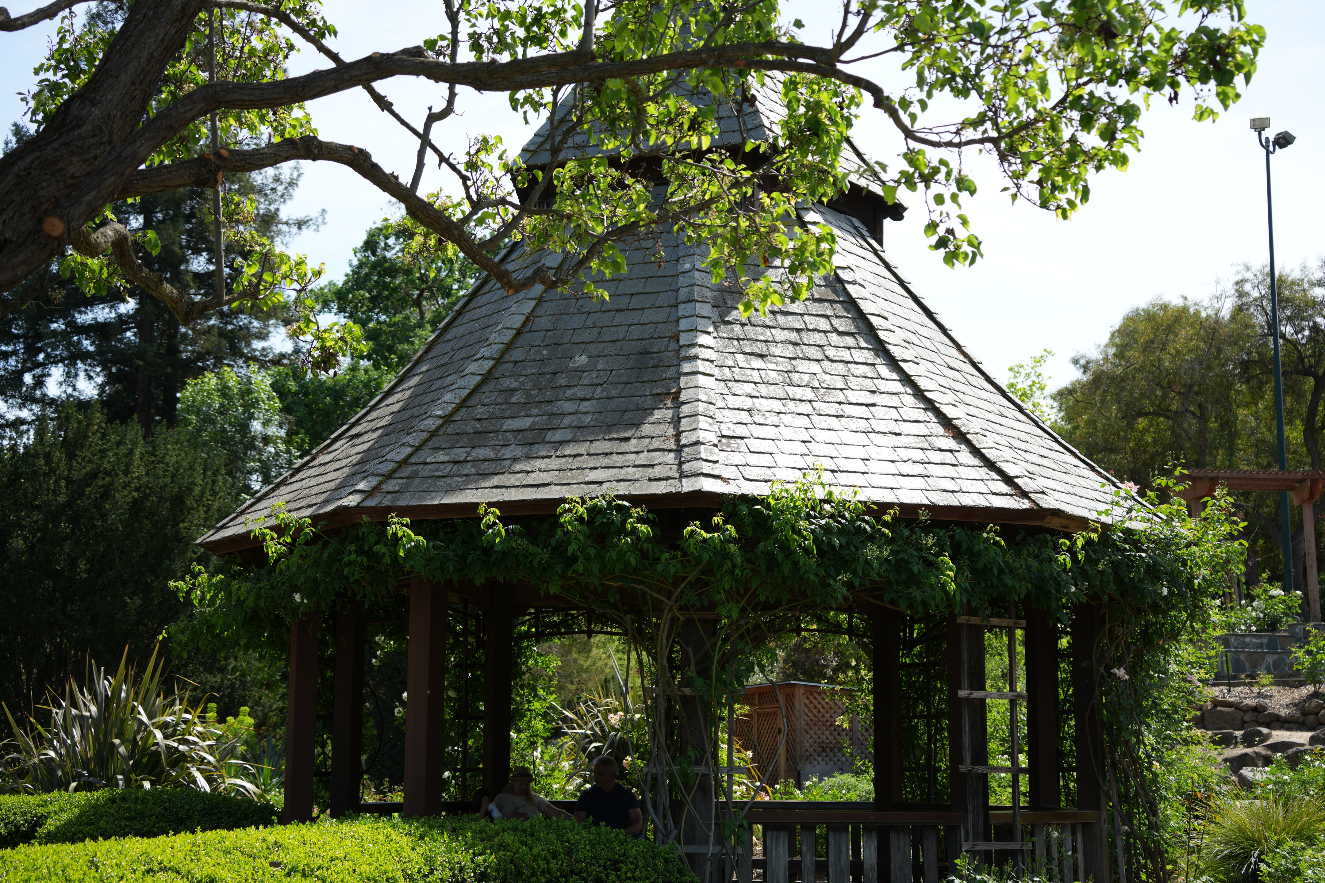 Contra Costa Canal Regional Trail