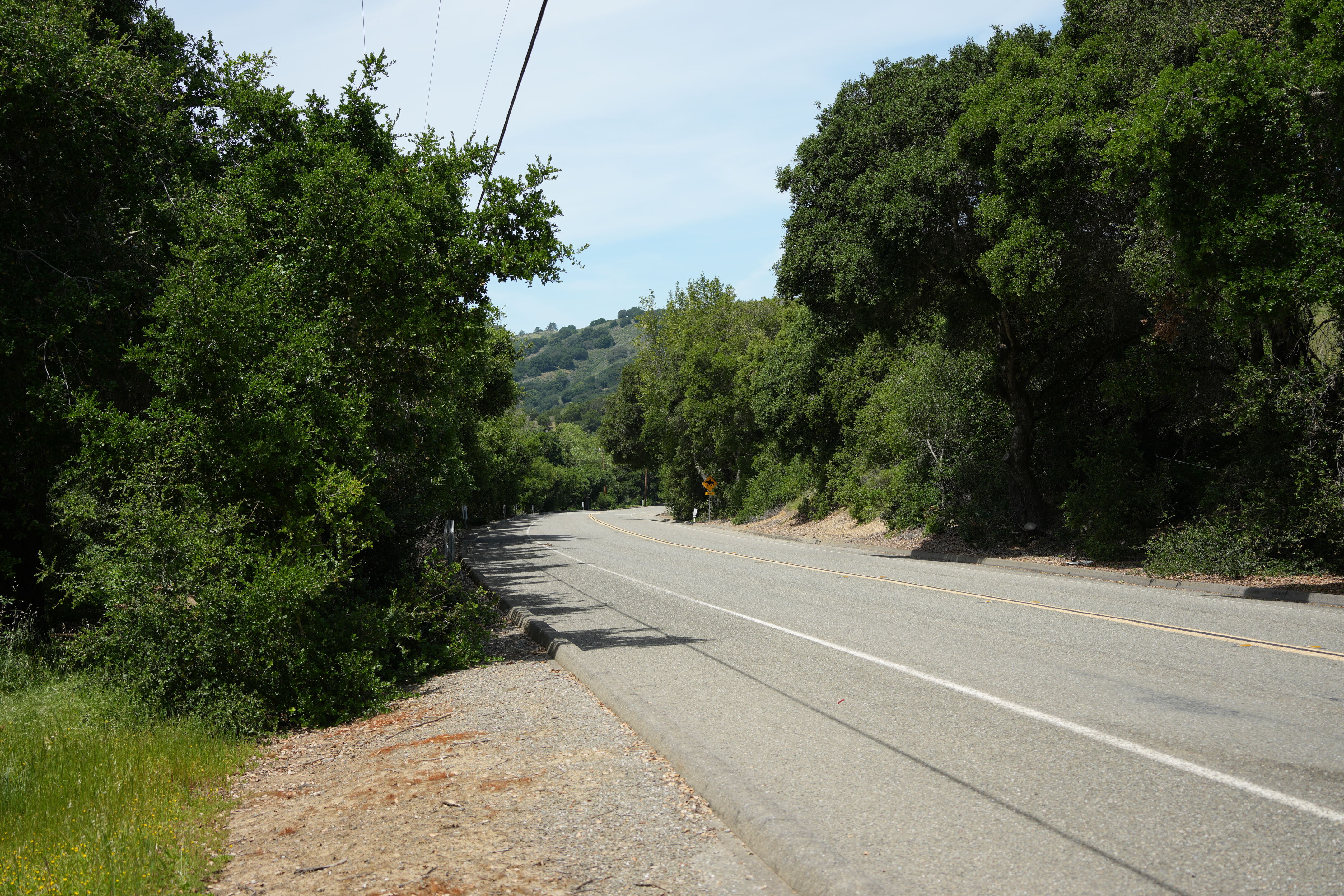 Lake Chabot Regional Park