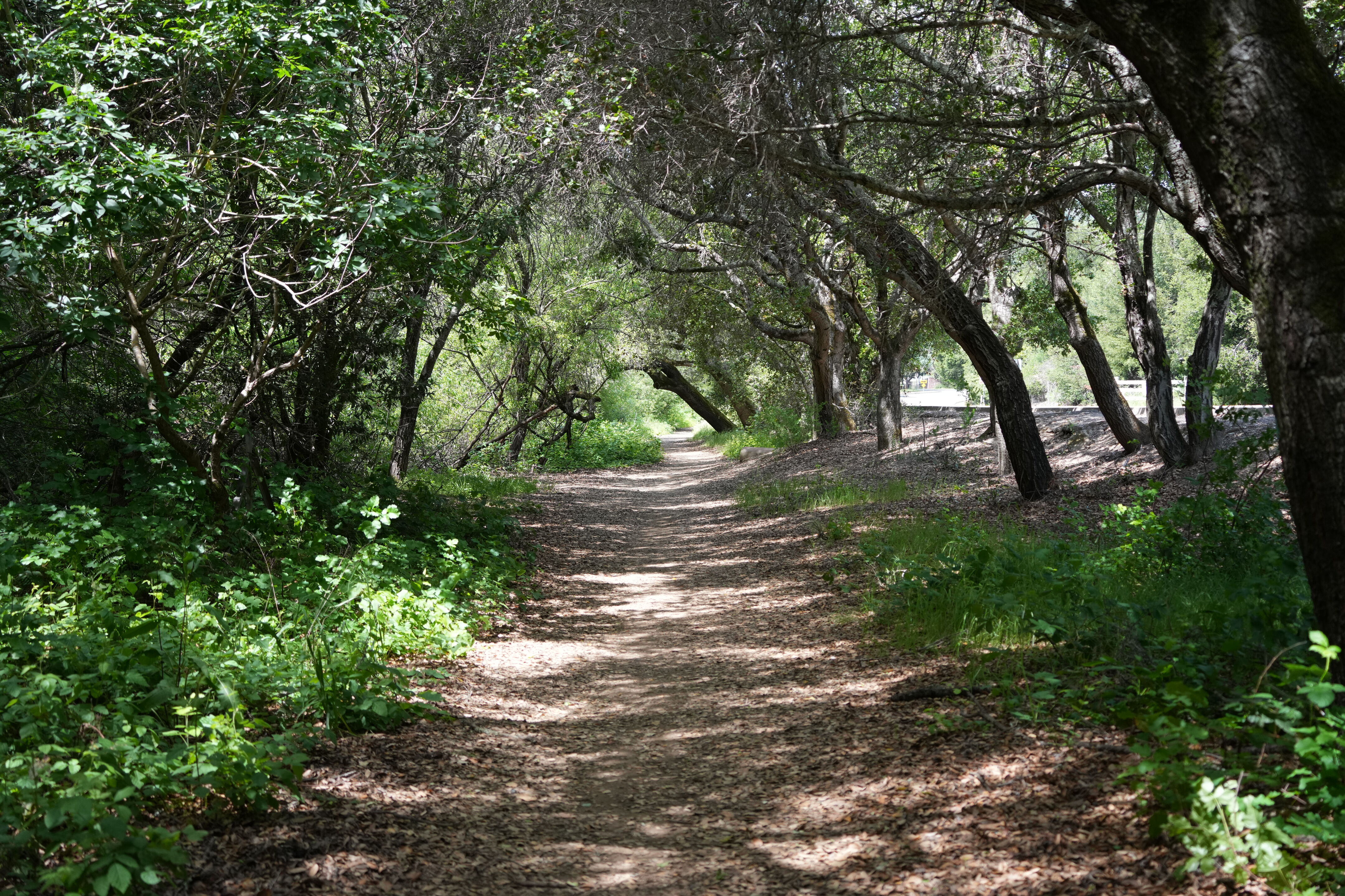 Lake Chabot Regional Park