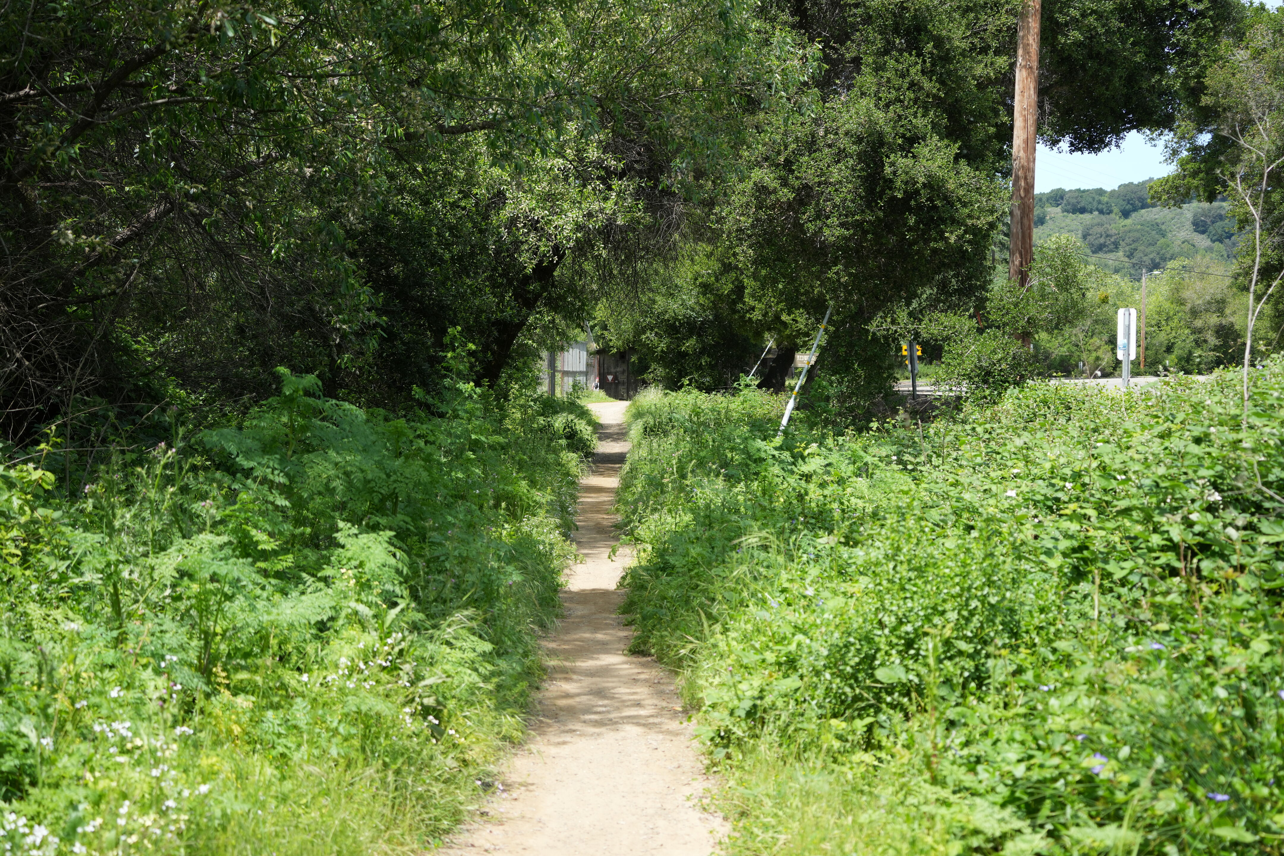 Lake Chabot Regional Park