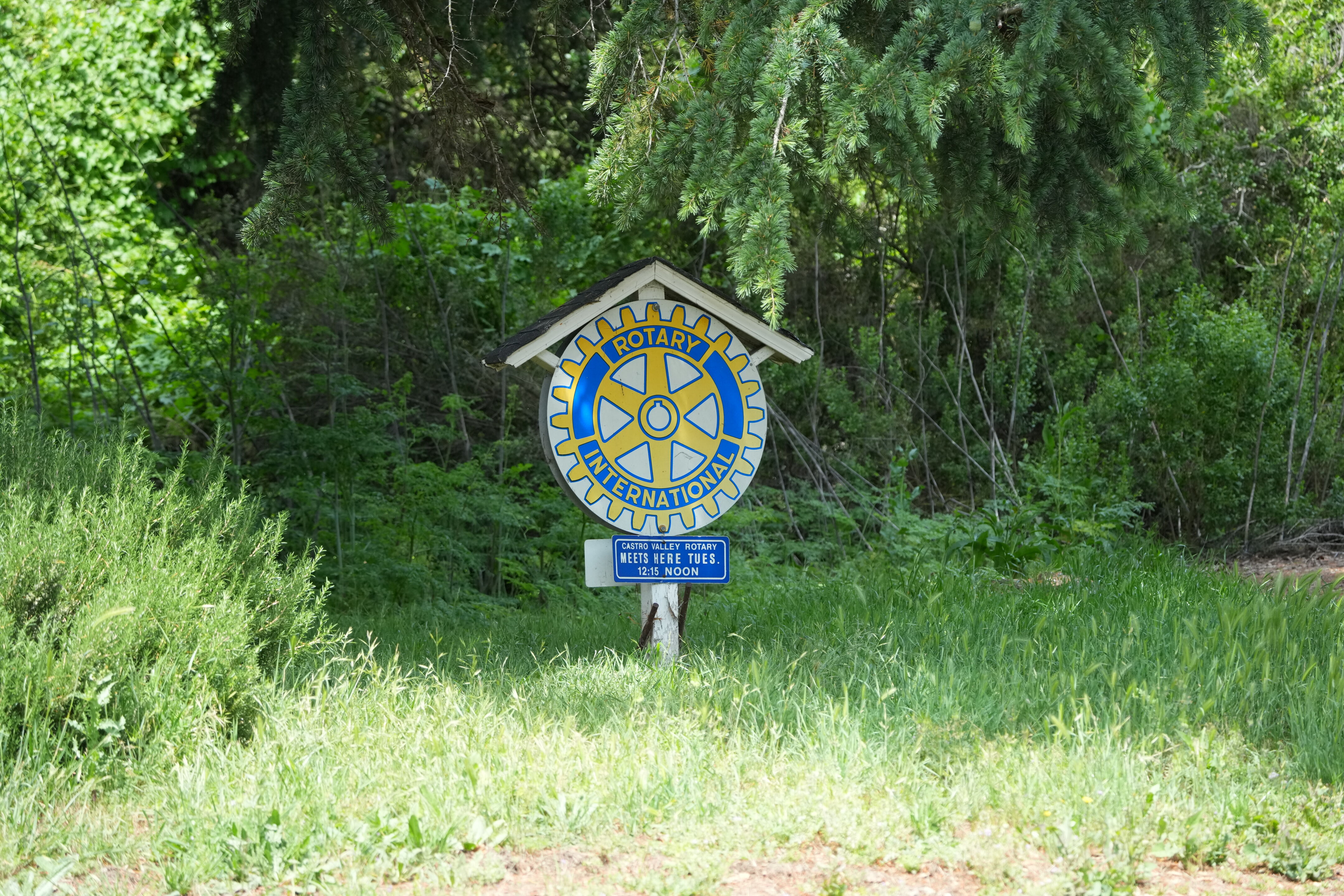 Lake Chabot Regional Park