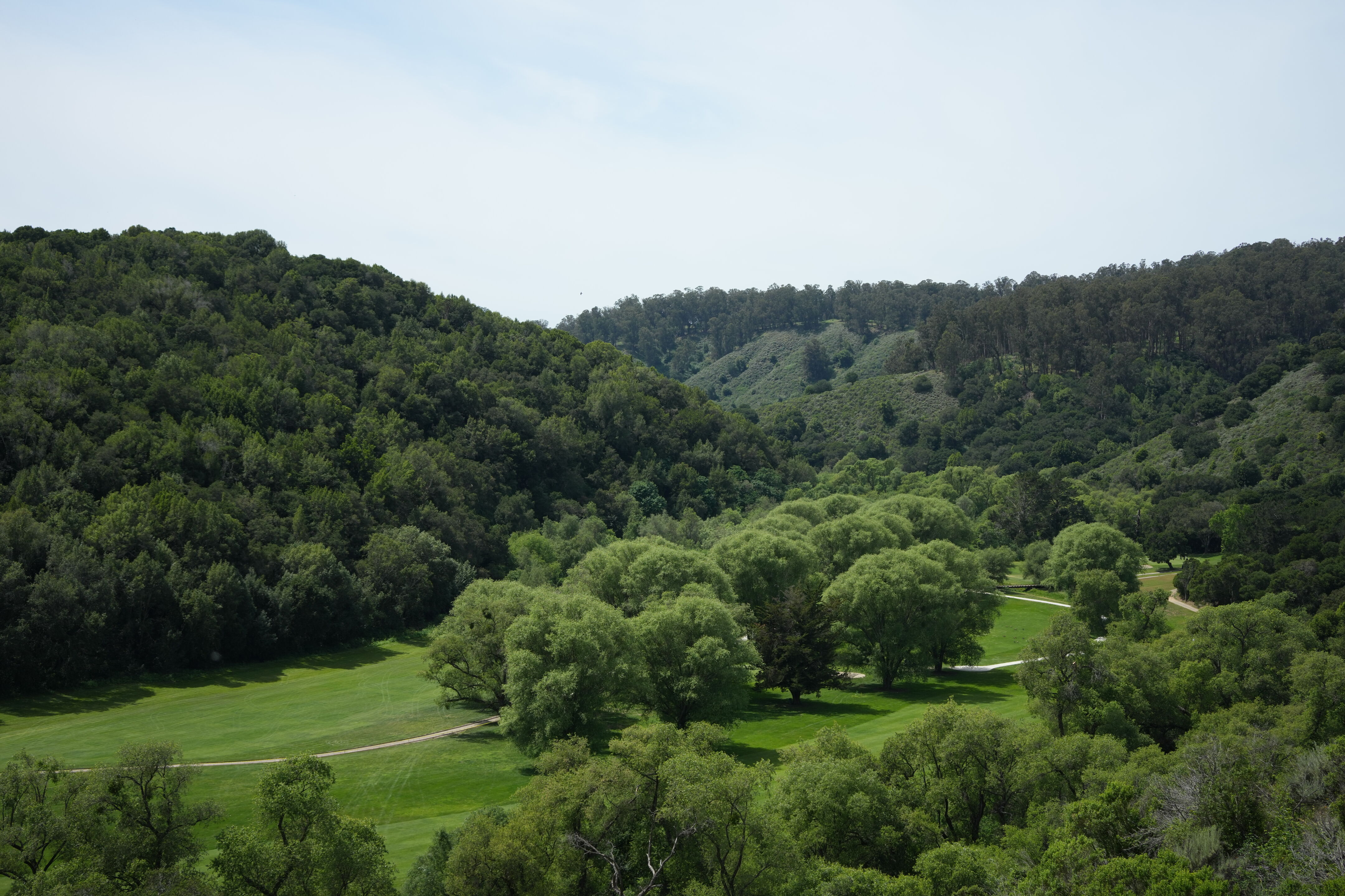 Lake Chabot Regional Park