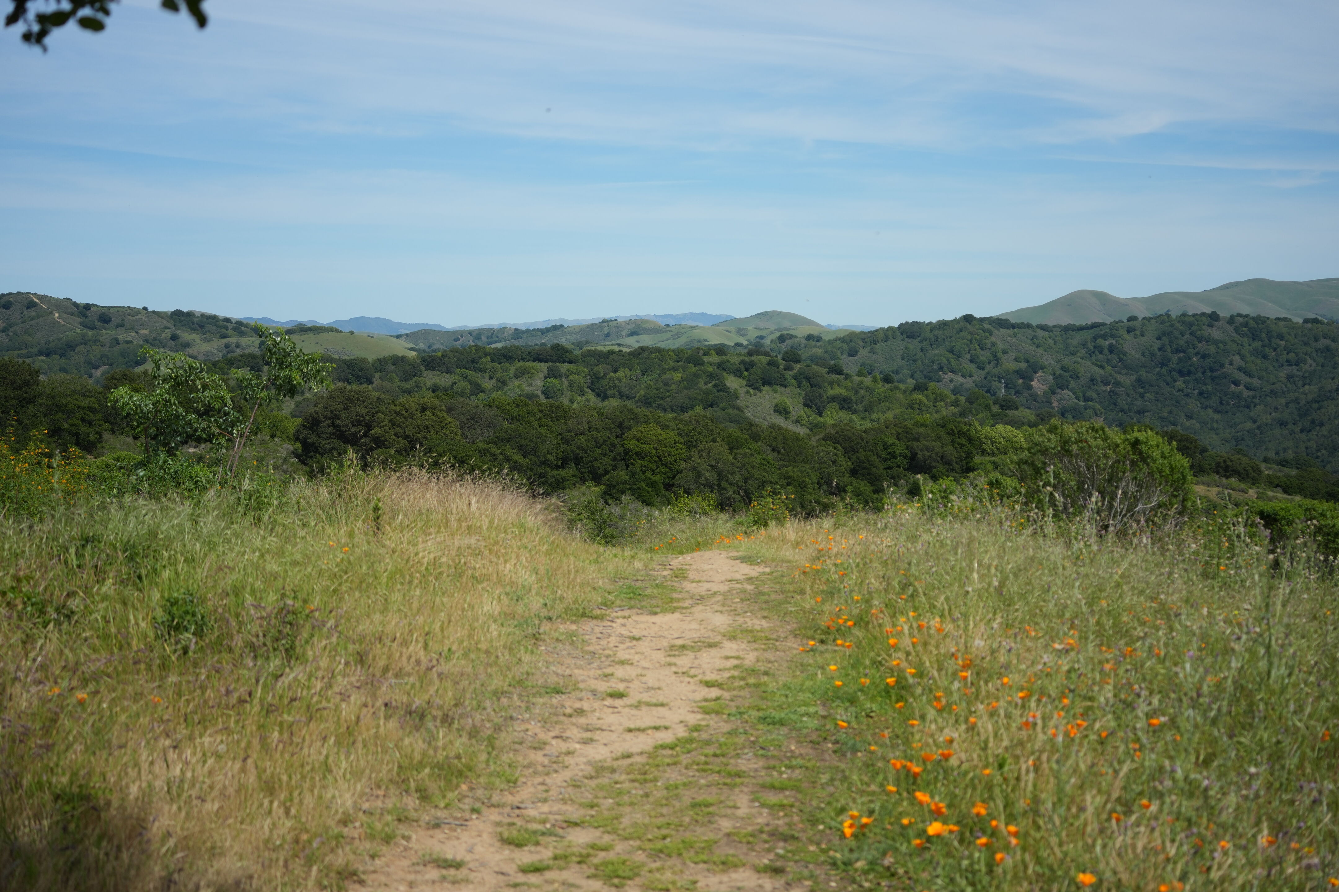 Lake Chabot Regional Park