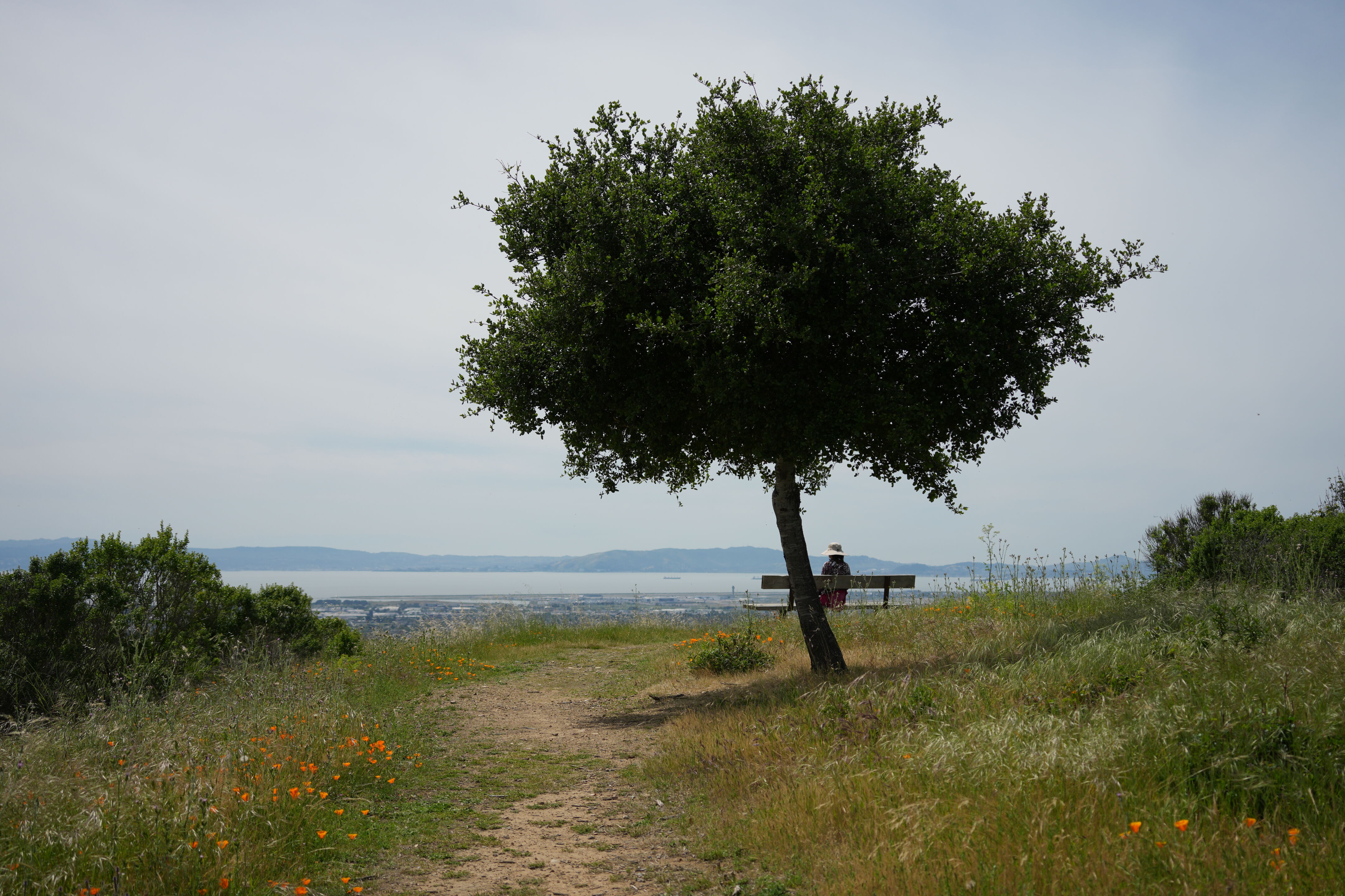 Lake Chabot Regional Park
