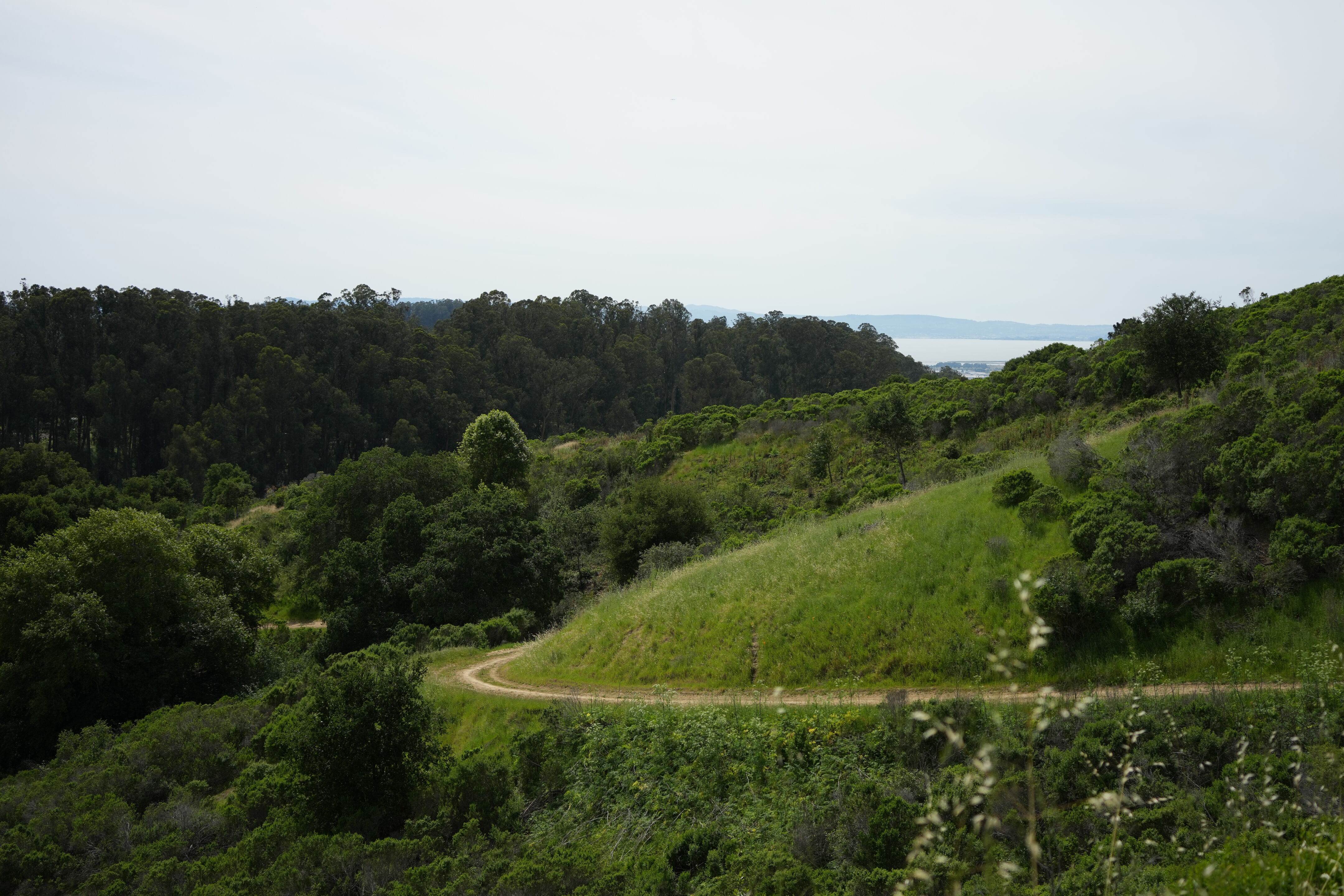 Lake Chabot Regional Park