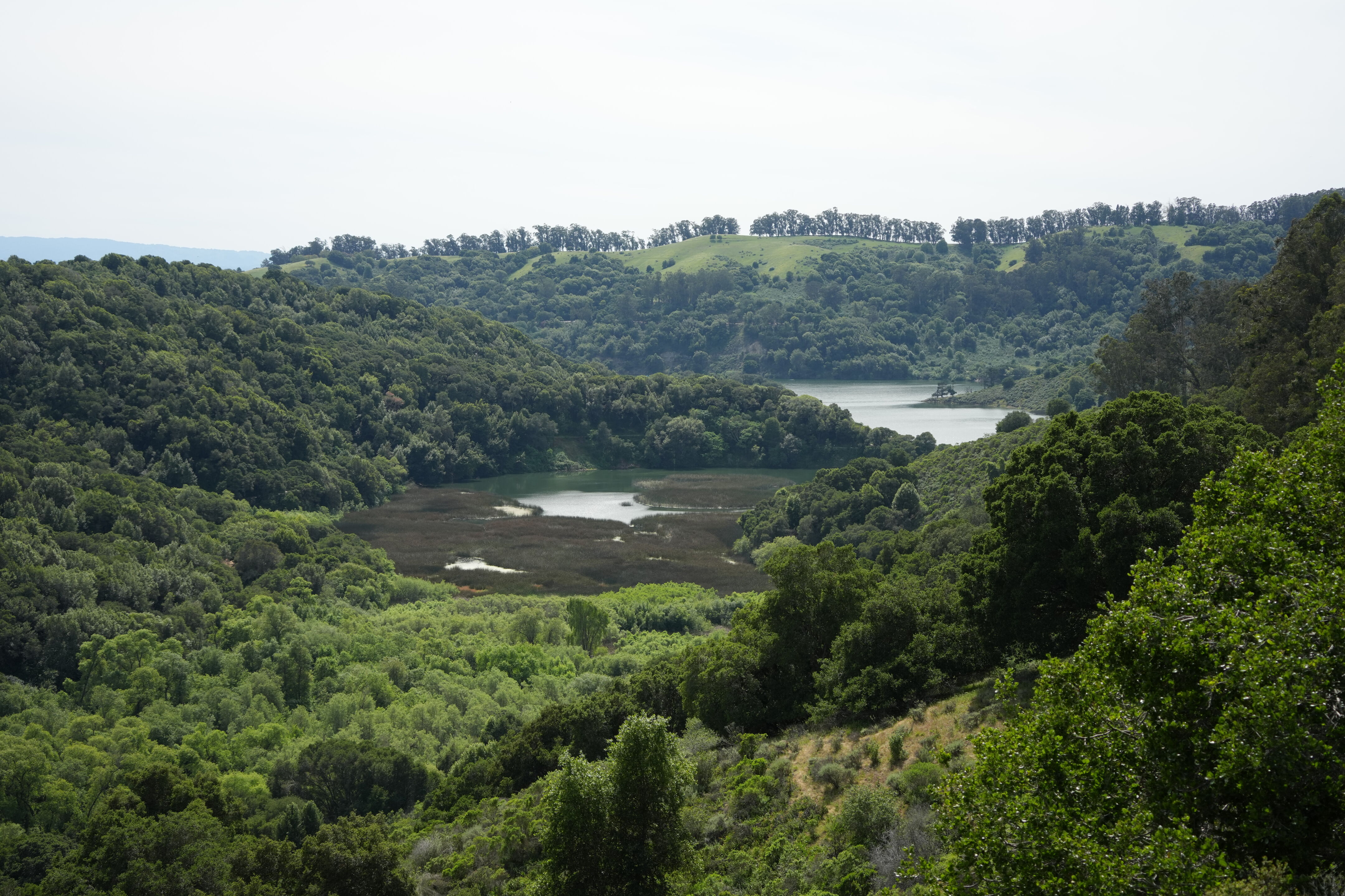 Lake Chabot Regional Park