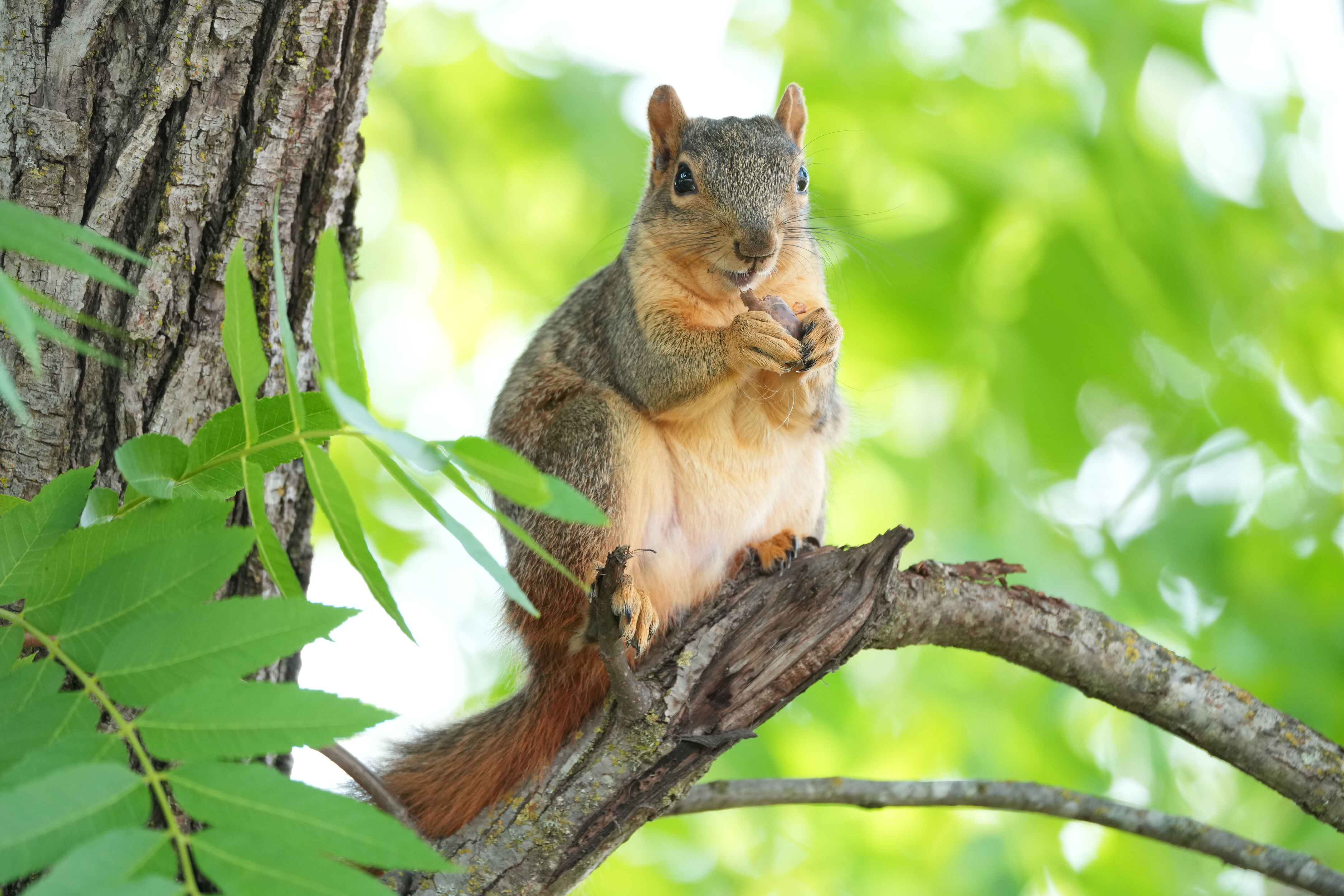 Lake Chabot Regional Park