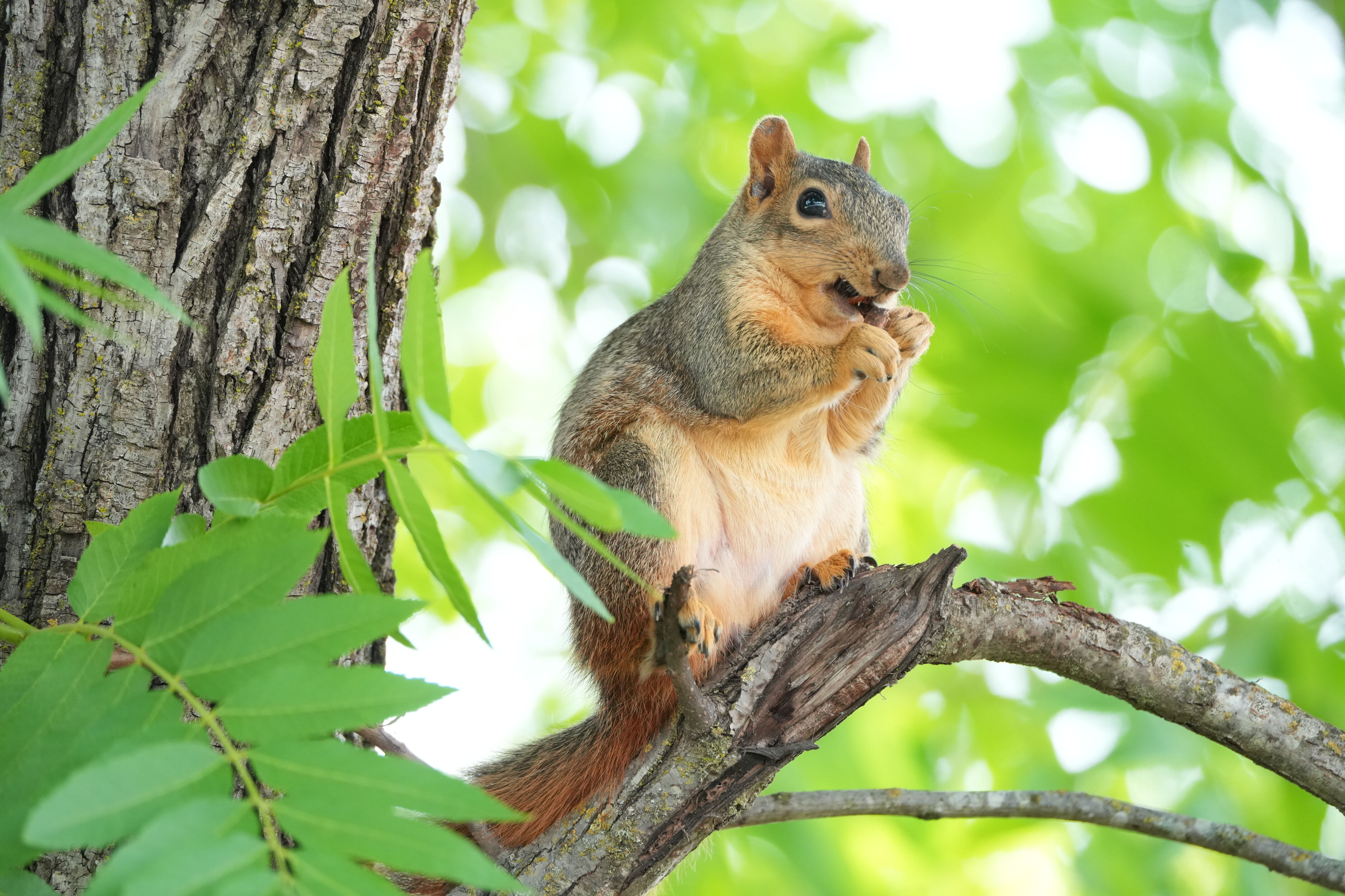 Lake Chabot Regional Park