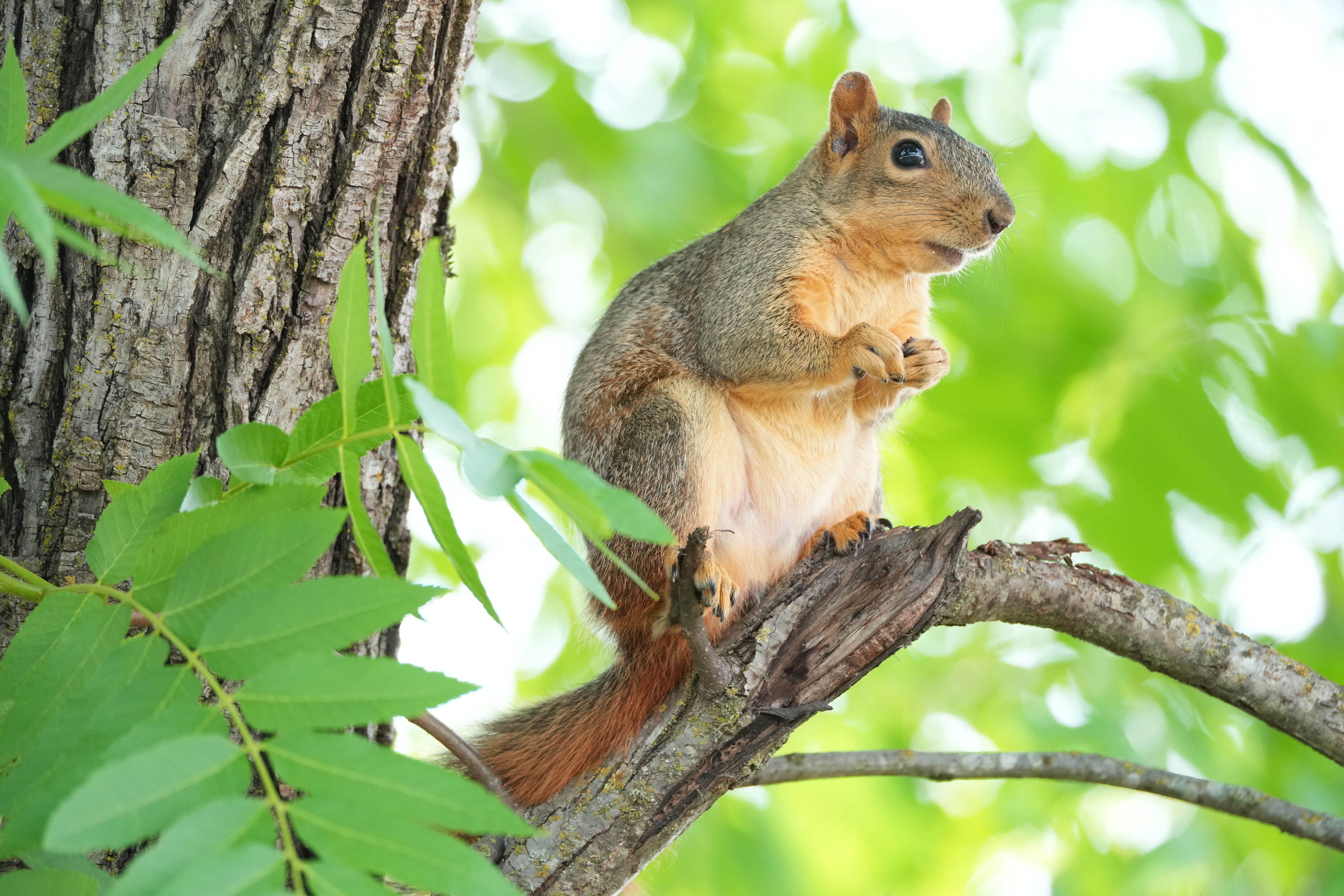 Lake Chabot Regional Park