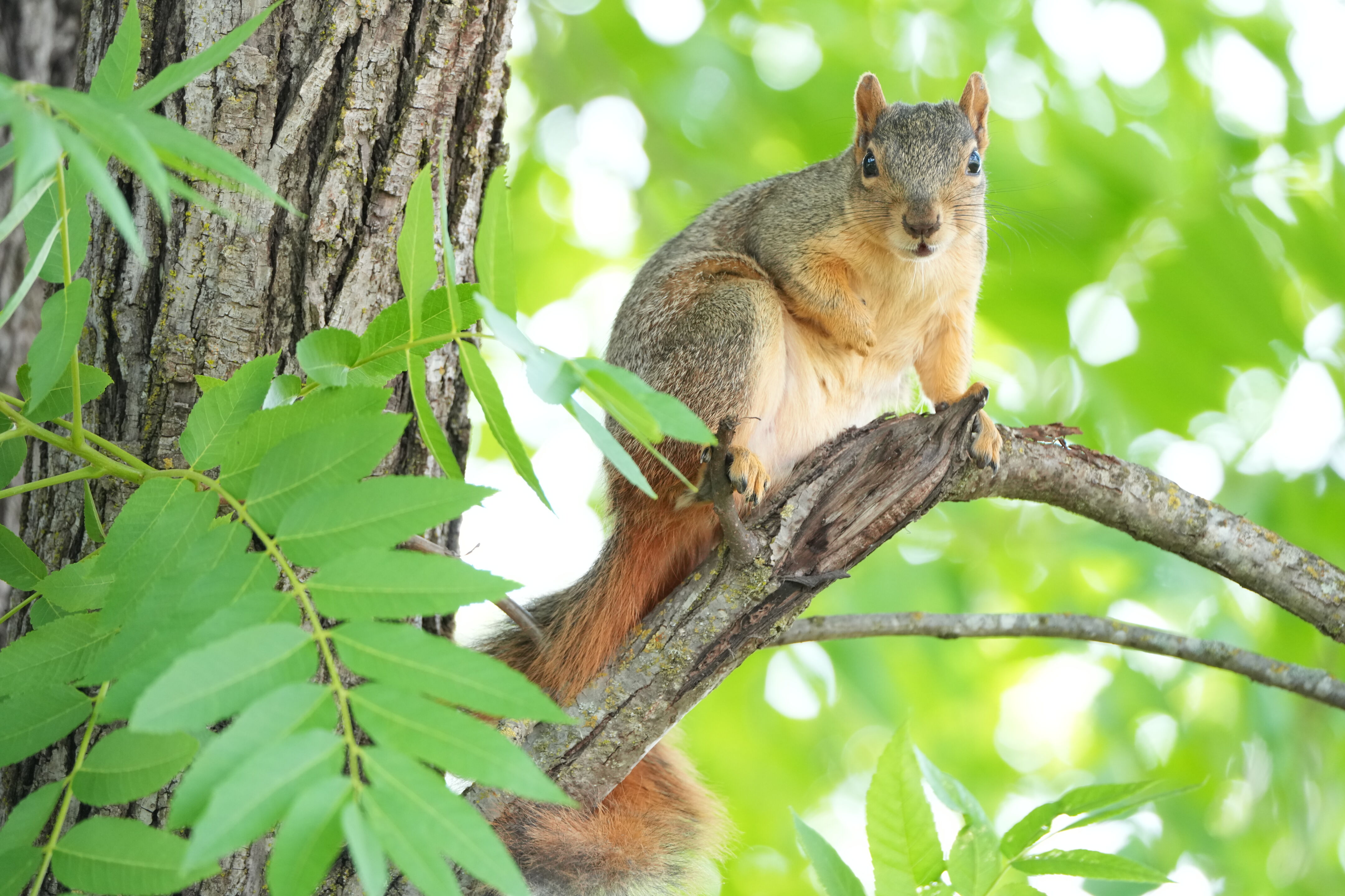 Lake Chabot Regional Park