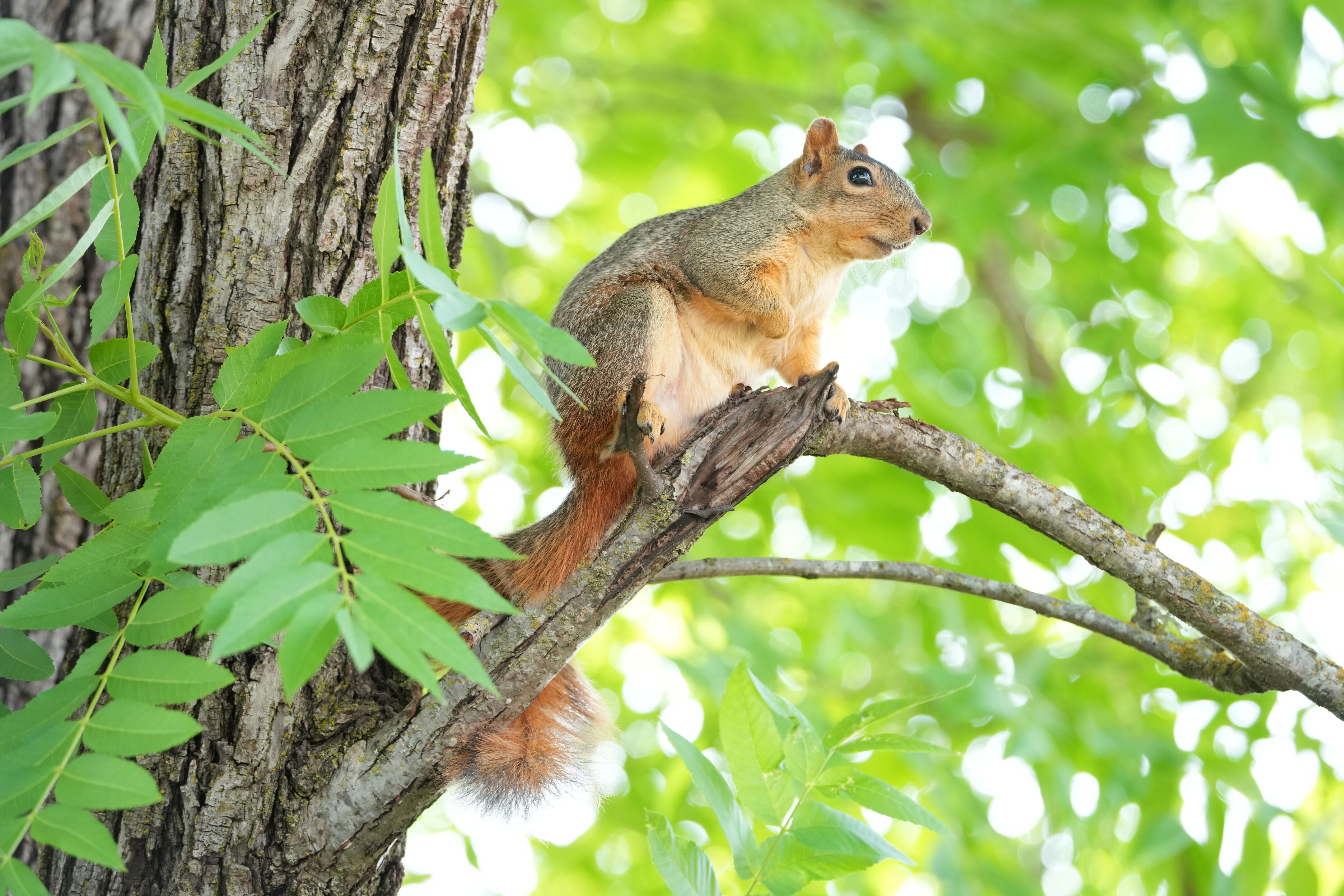 Lake Chabot Regional Park