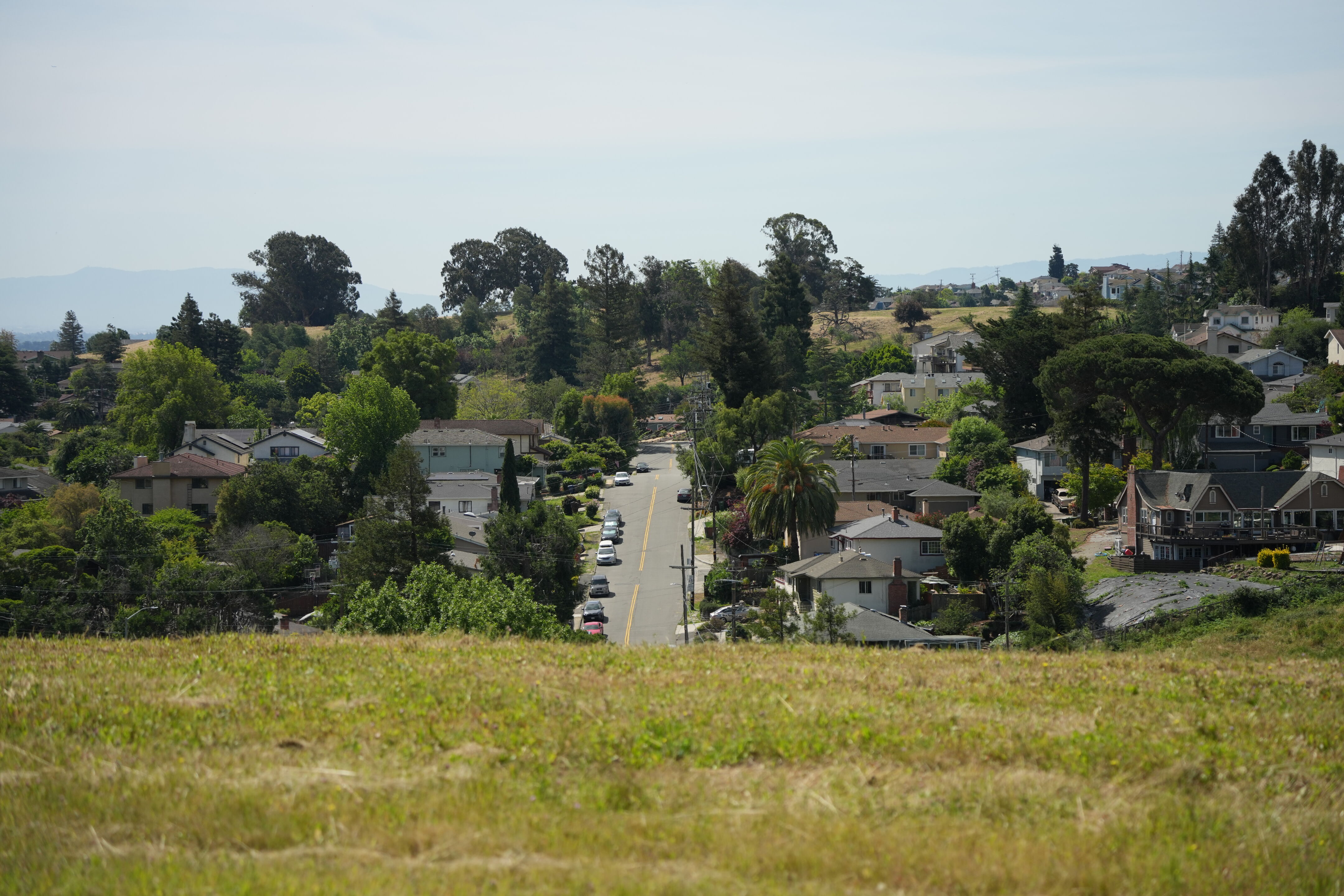 Lake Chabot Regional Park