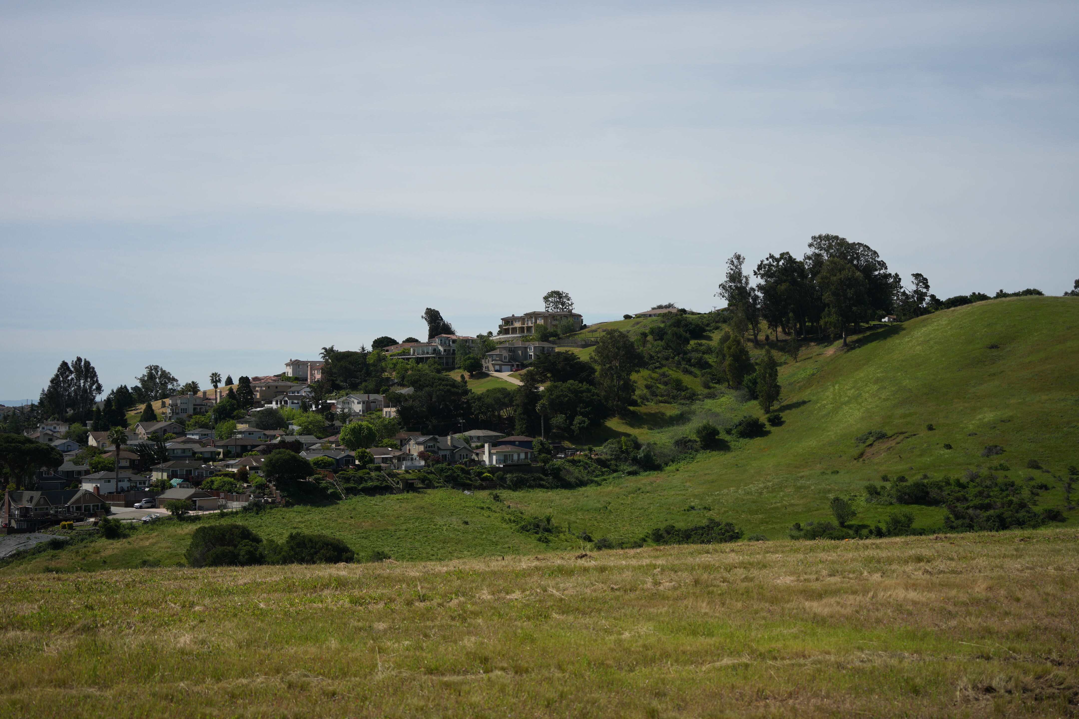 Lake Chabot Regional Park