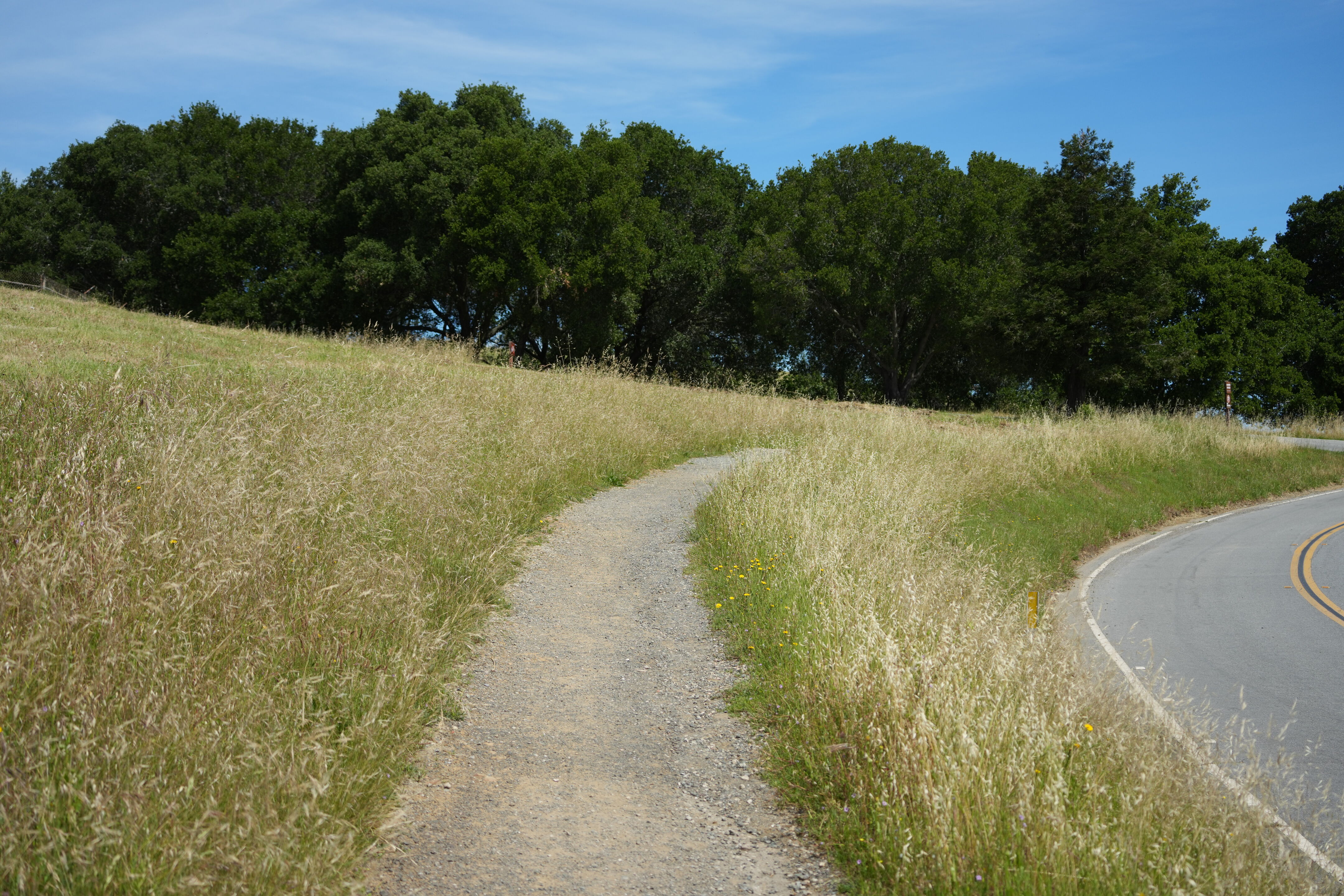 Lake Chabot Regional Park
