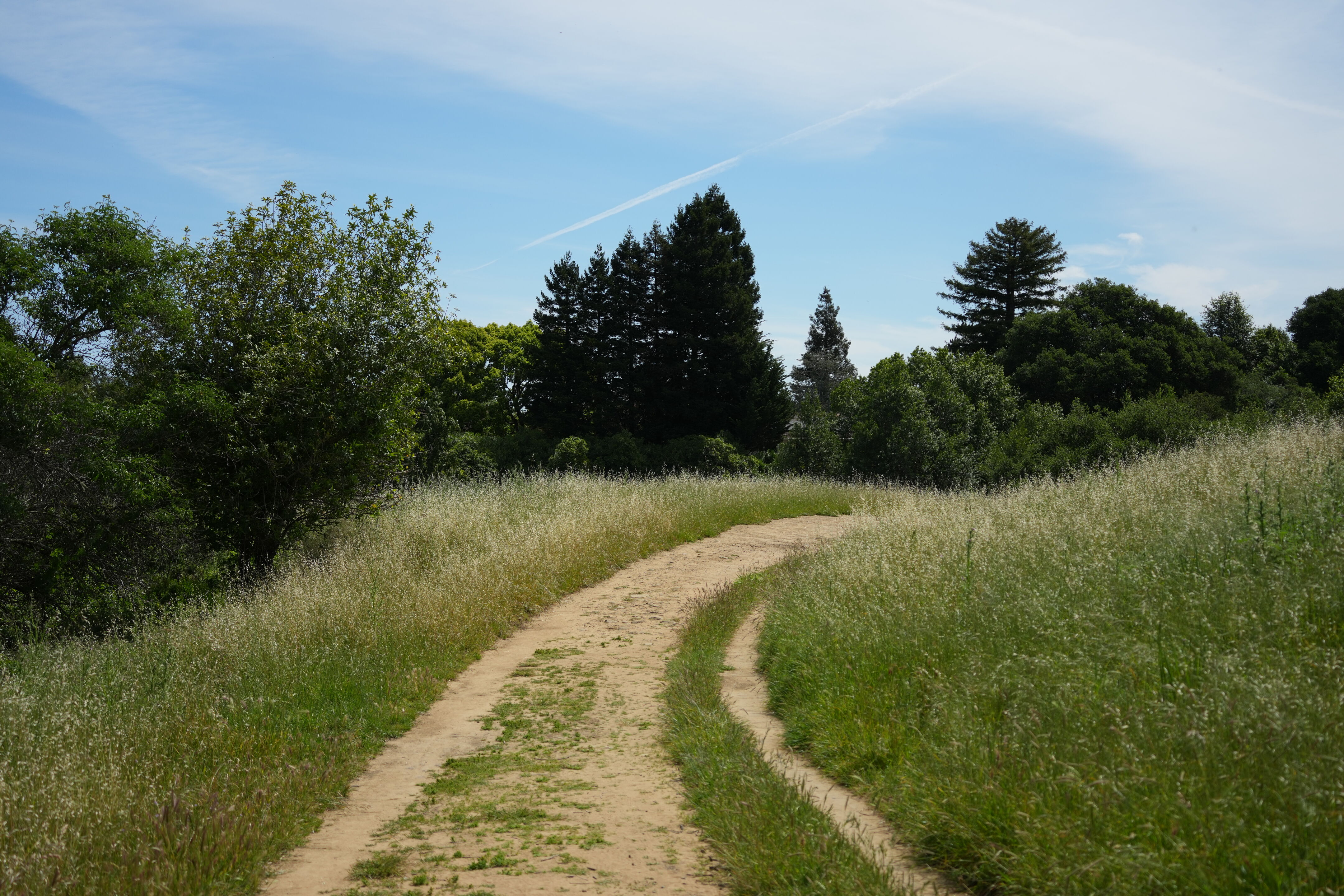 Lake Chabot Regional Park