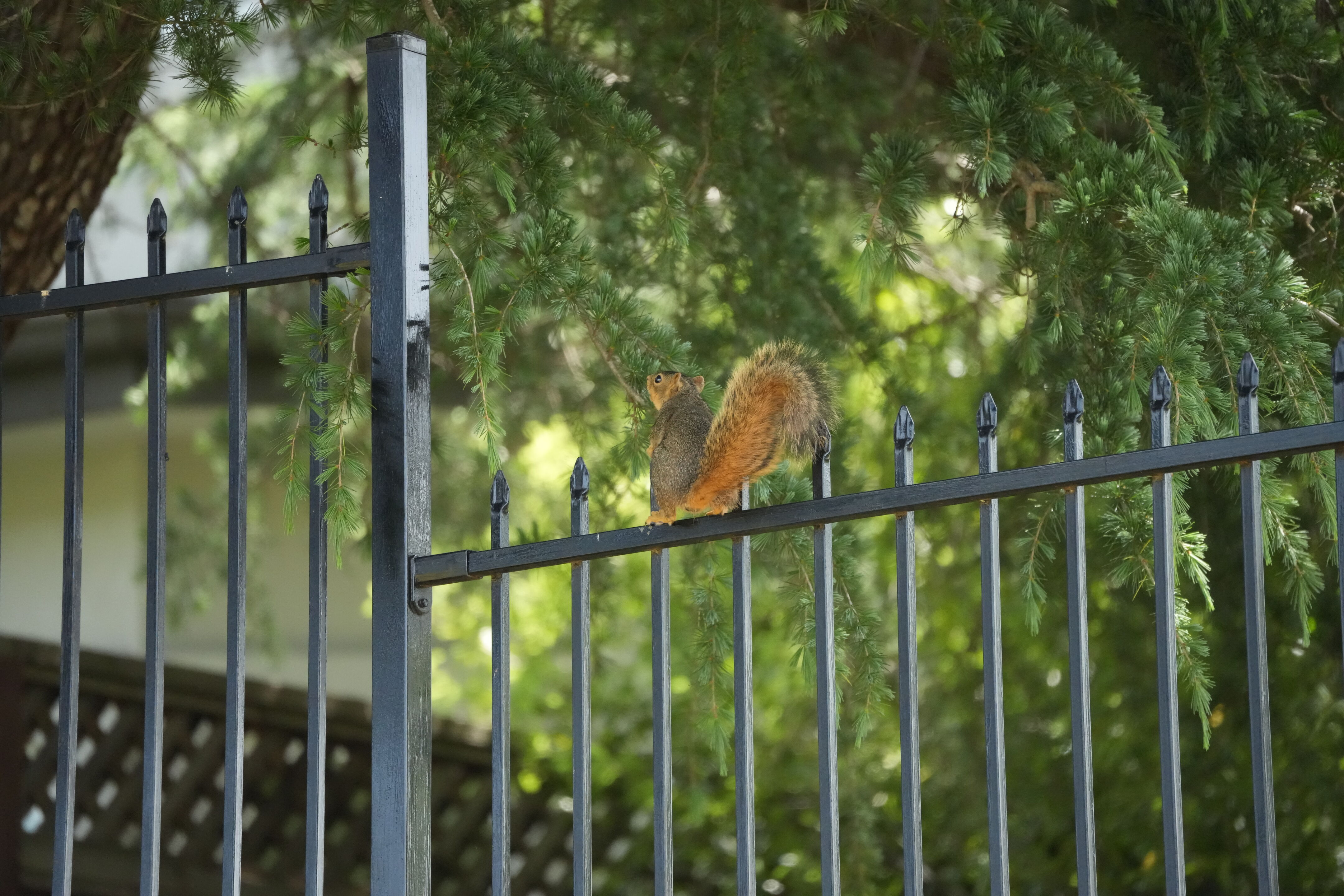 Lake Chabot Regional Park
