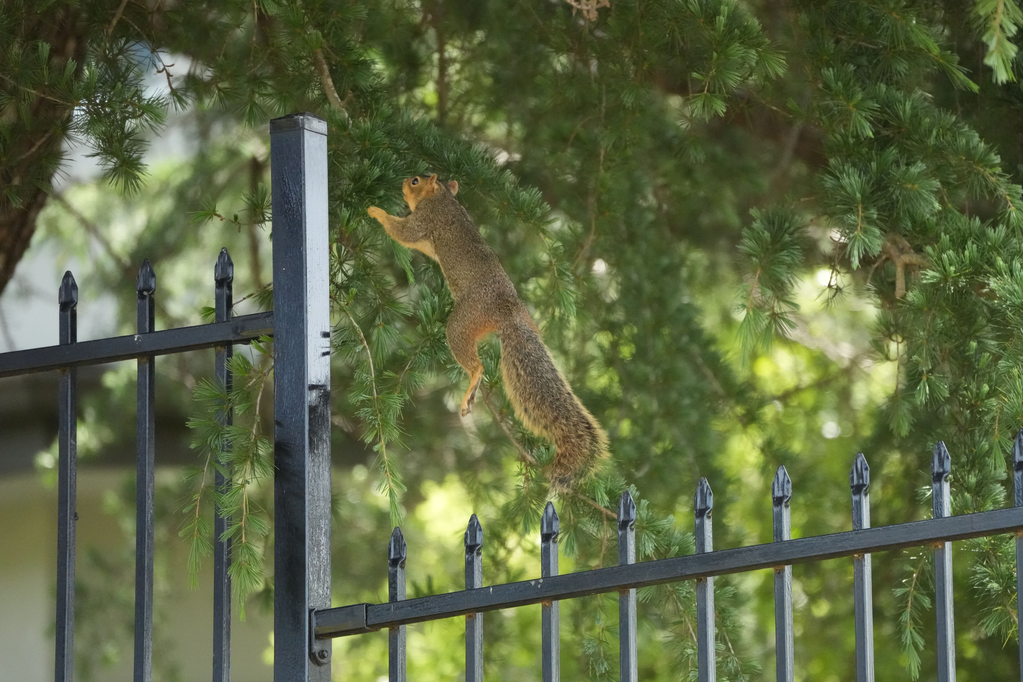 Lake Chabot Regional Park