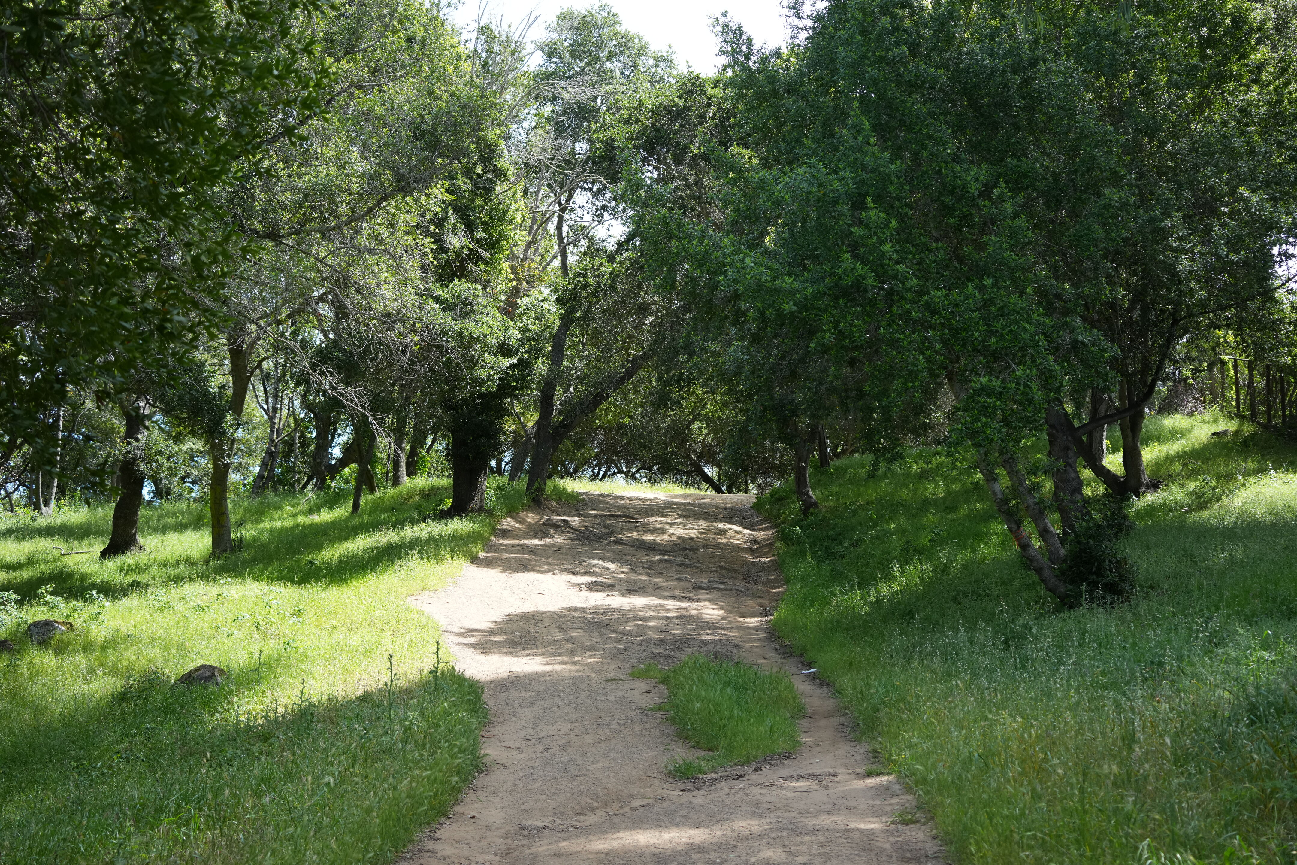 Lake Chabot Regional Park
